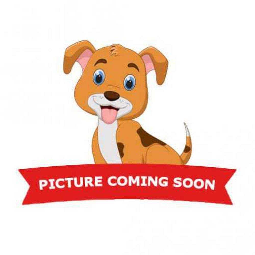 Alternative view of Prestige 15ft XXL Dog Tie-Out