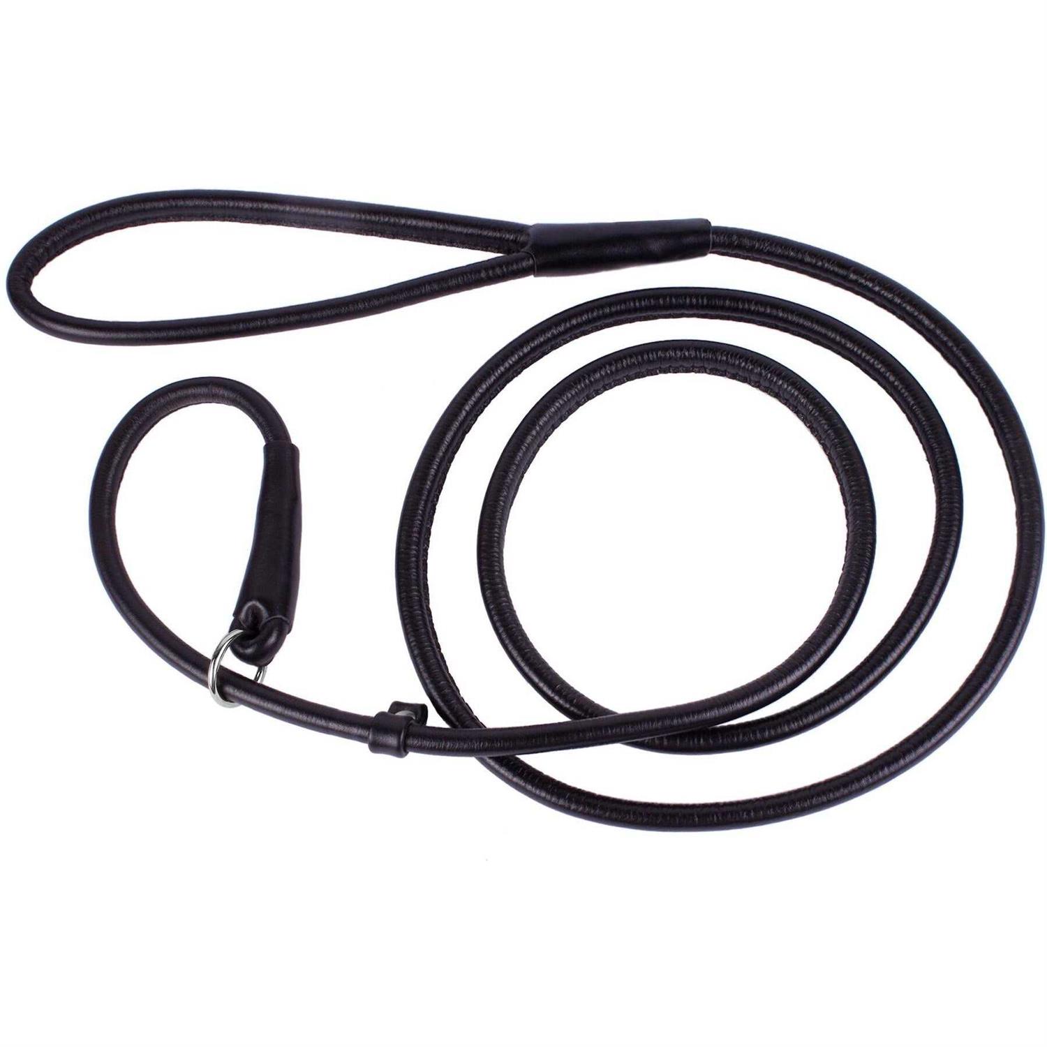 CollarDirect Rolled Leather Dog Leash 4ft Soft Padded Training Leather Dog Lead 6ft