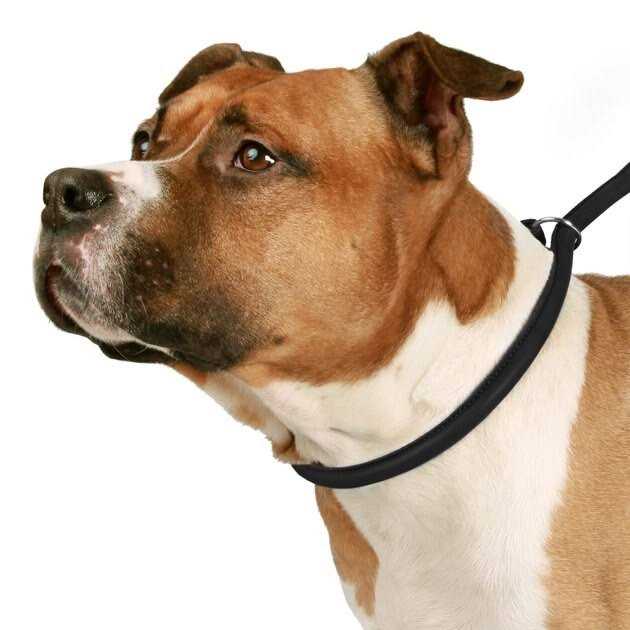 Alternative view of CollarDirect Rolled Leather Dog Leash 4ft Soft Padded Training Leather Dog Lead 6ft