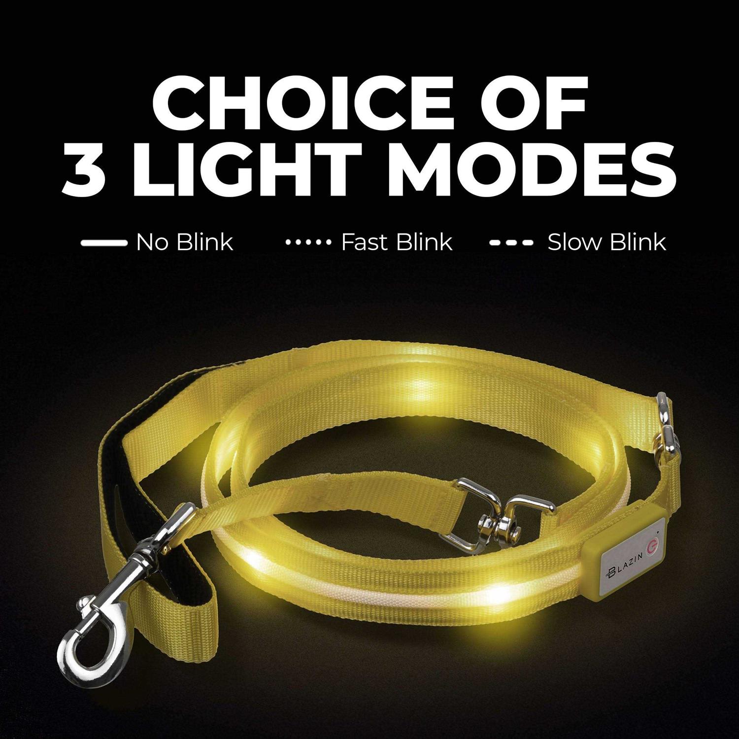 Alternative view of Blazin Safety LED Dog Leash USB Rechargeable Flashing Light
