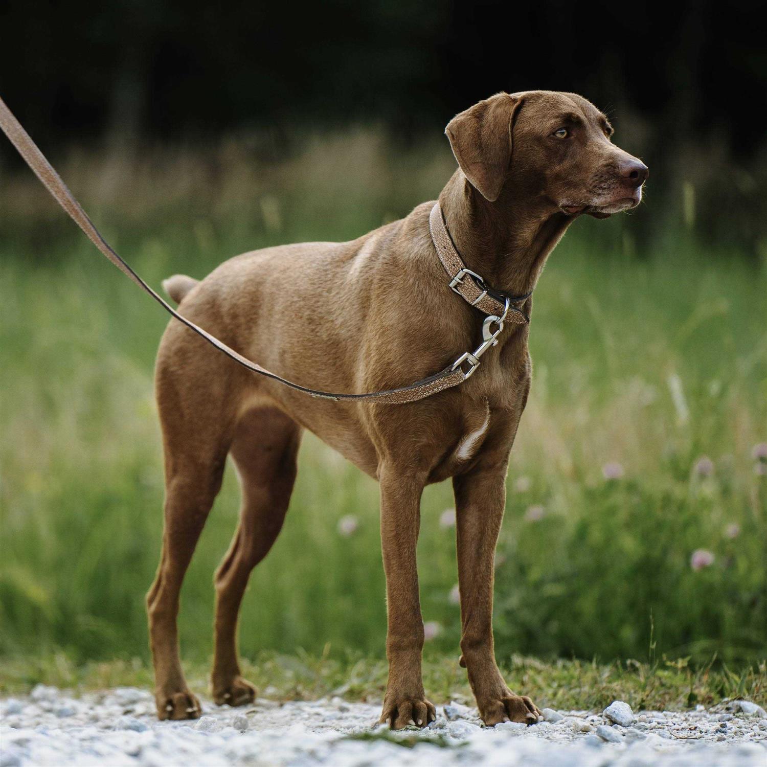 Alternative view of Mighty Paw Leather Dog Leash Super Soft Distressed Leather
