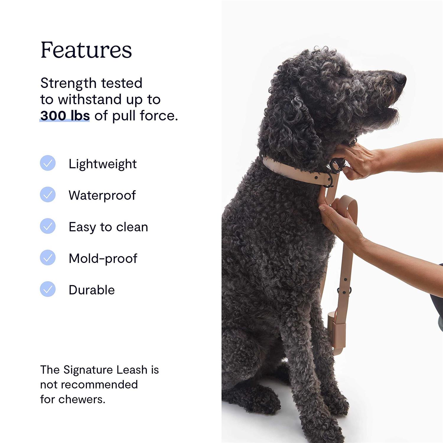 Alternative view of Fable Pets Signature Dog Leash