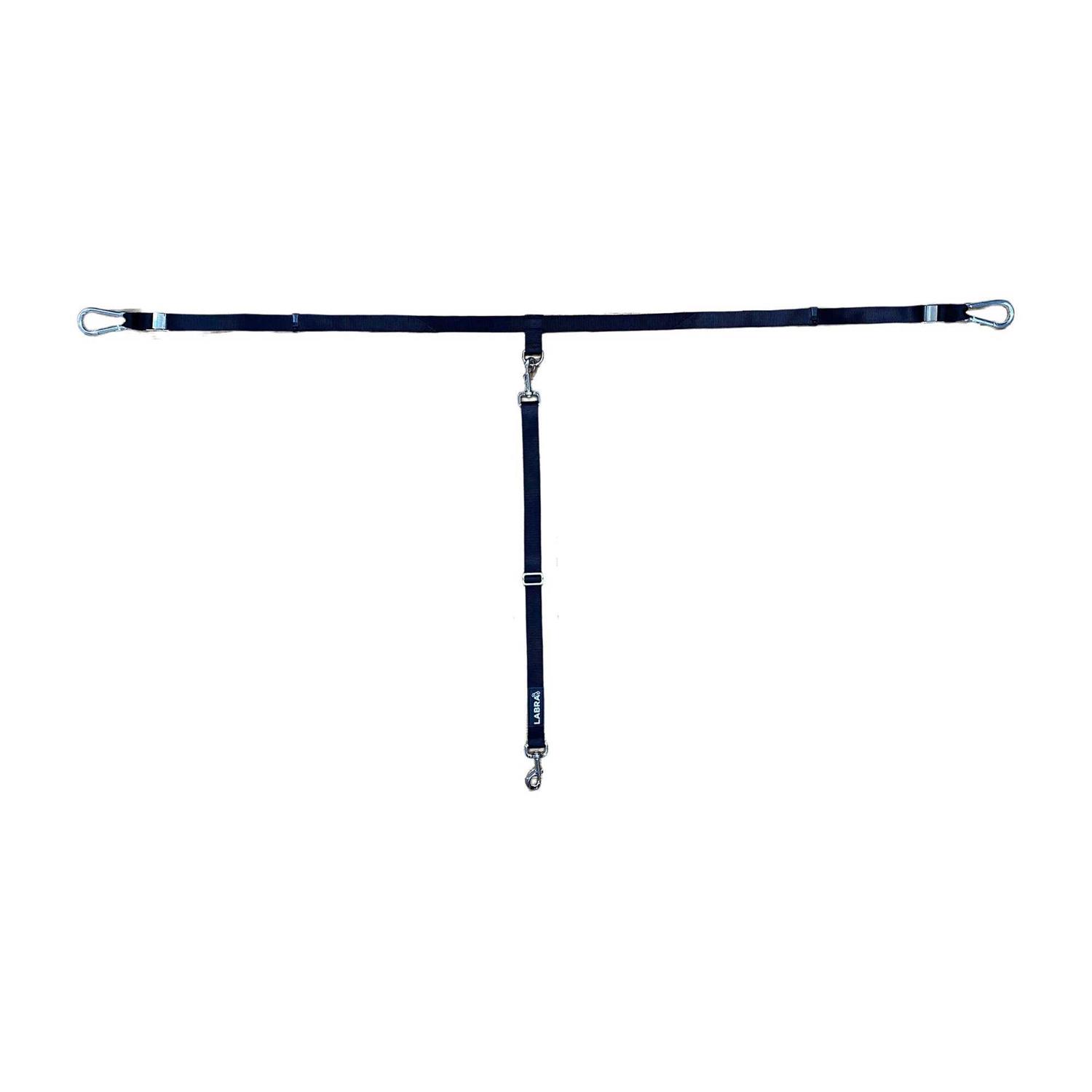Labra Dog Truck Bed Leash Tether