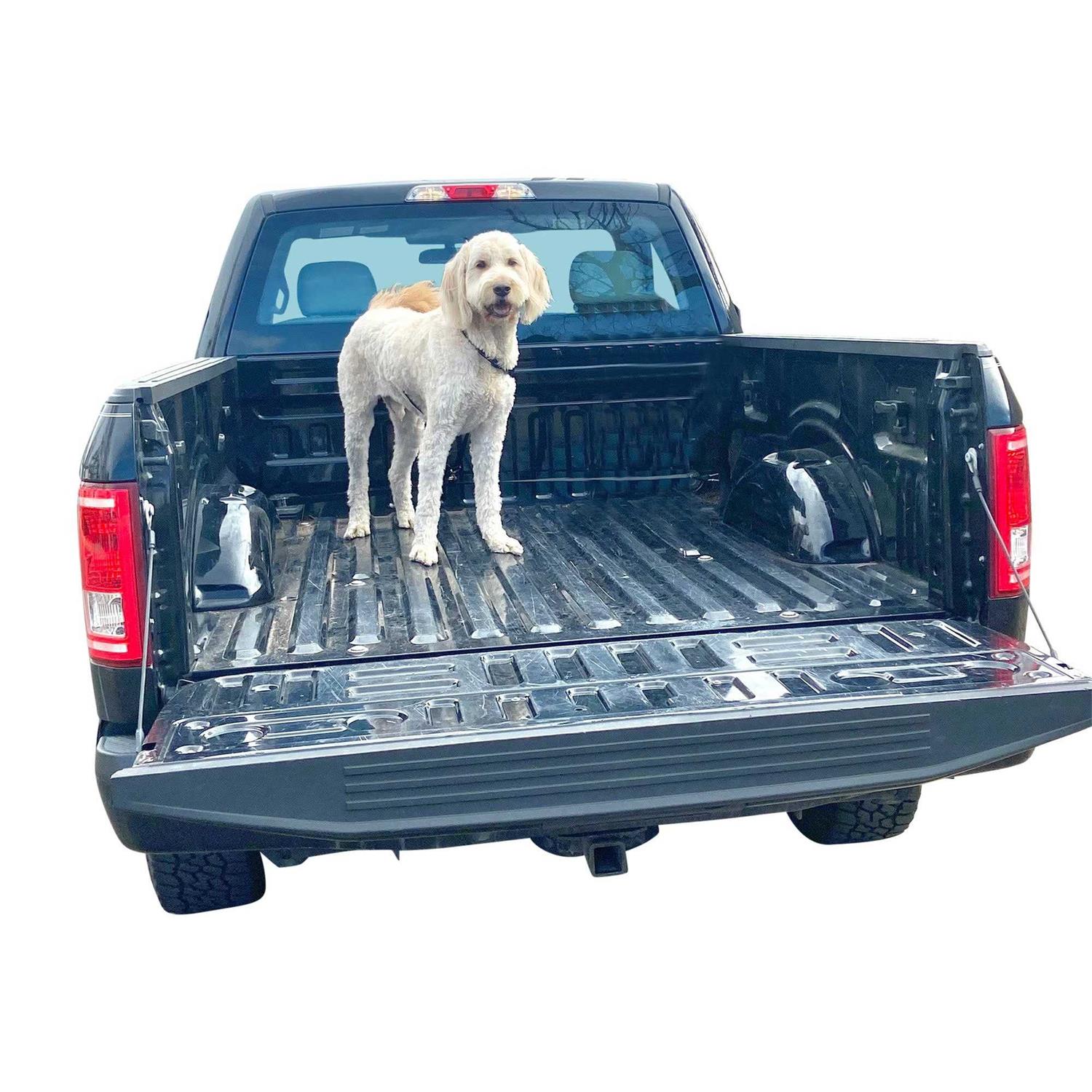 Alternative view of Labra Dog Truck Bed Leash Tether