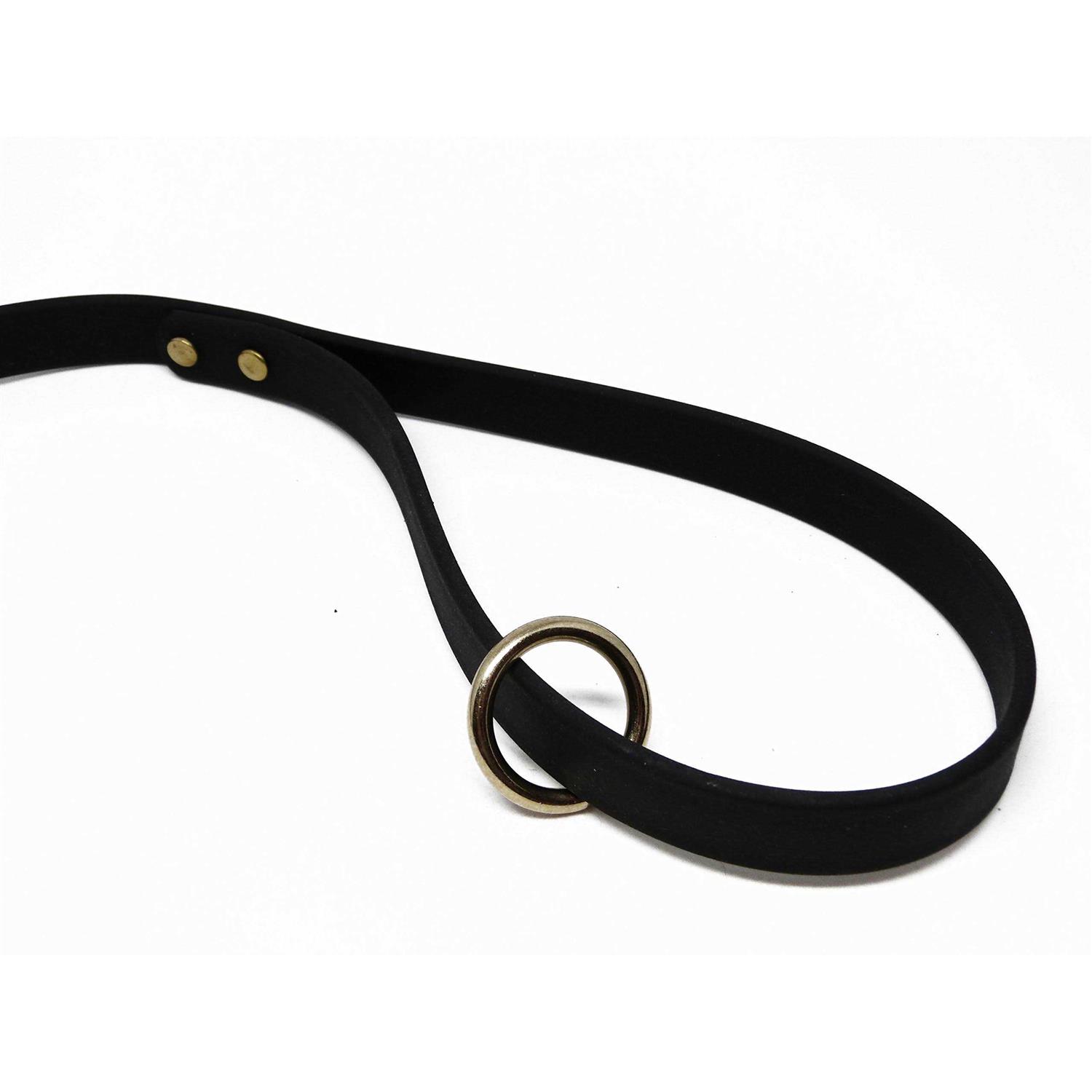 Alternative view of Jim Hodges Dog Training gummy Dog Leash Biothane Dog Training Leash