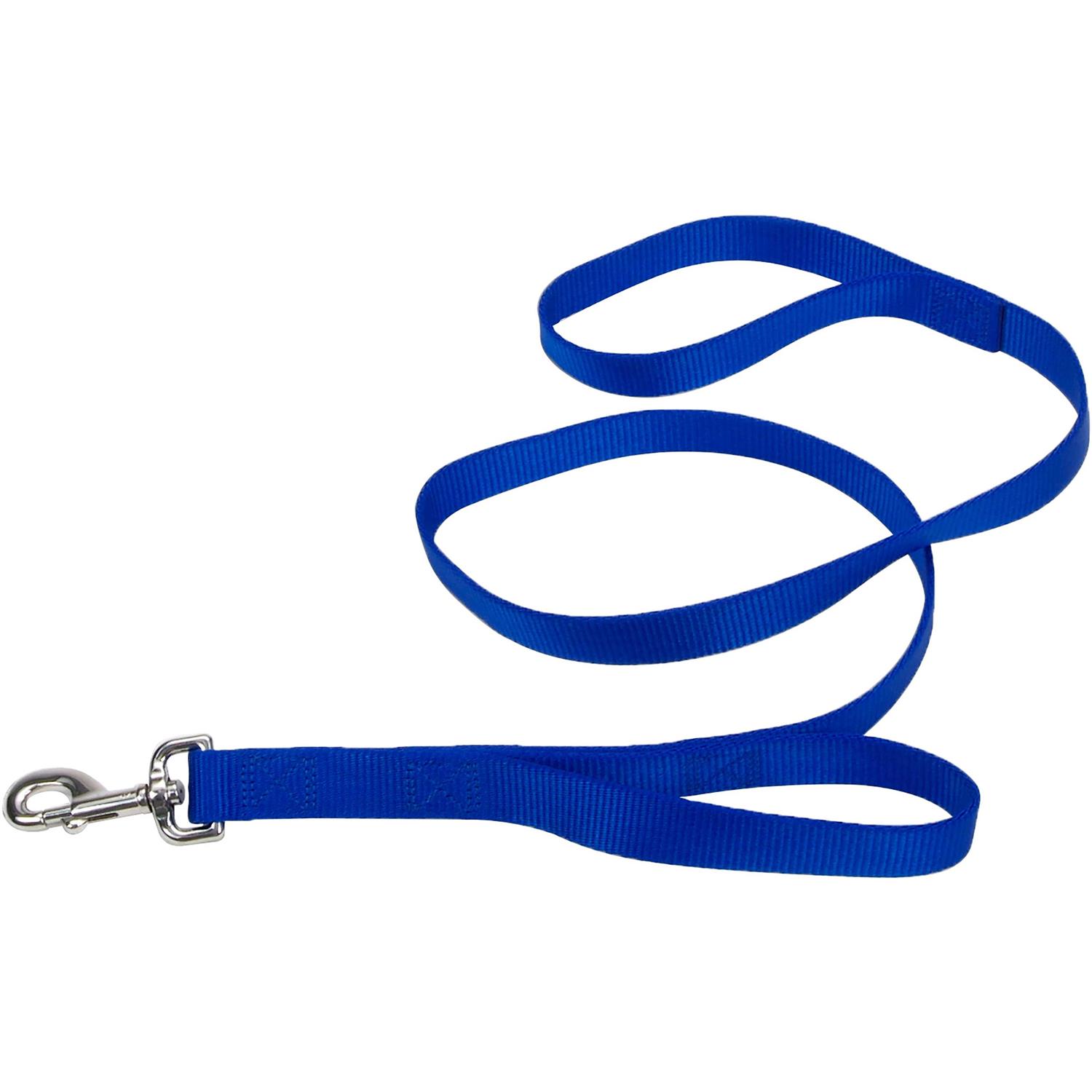 Coastal Double-Ply Nylon Traffic Leash