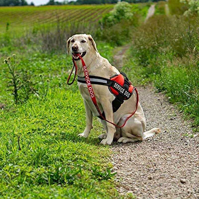 Alternative view of Industrial Puppy Emotional Support Dog Leash Wrap with Neoprene Handle and Reflective Emotional Support Lettering