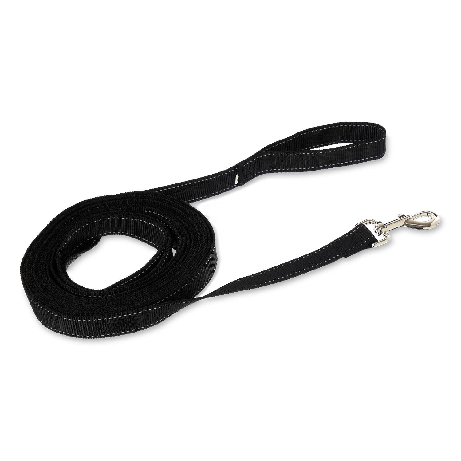 Vibrant Life 20' Polyester Slip Lead Dog Leash
