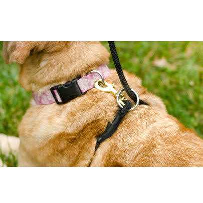 Weiss Walkie No Pull Dog Leash