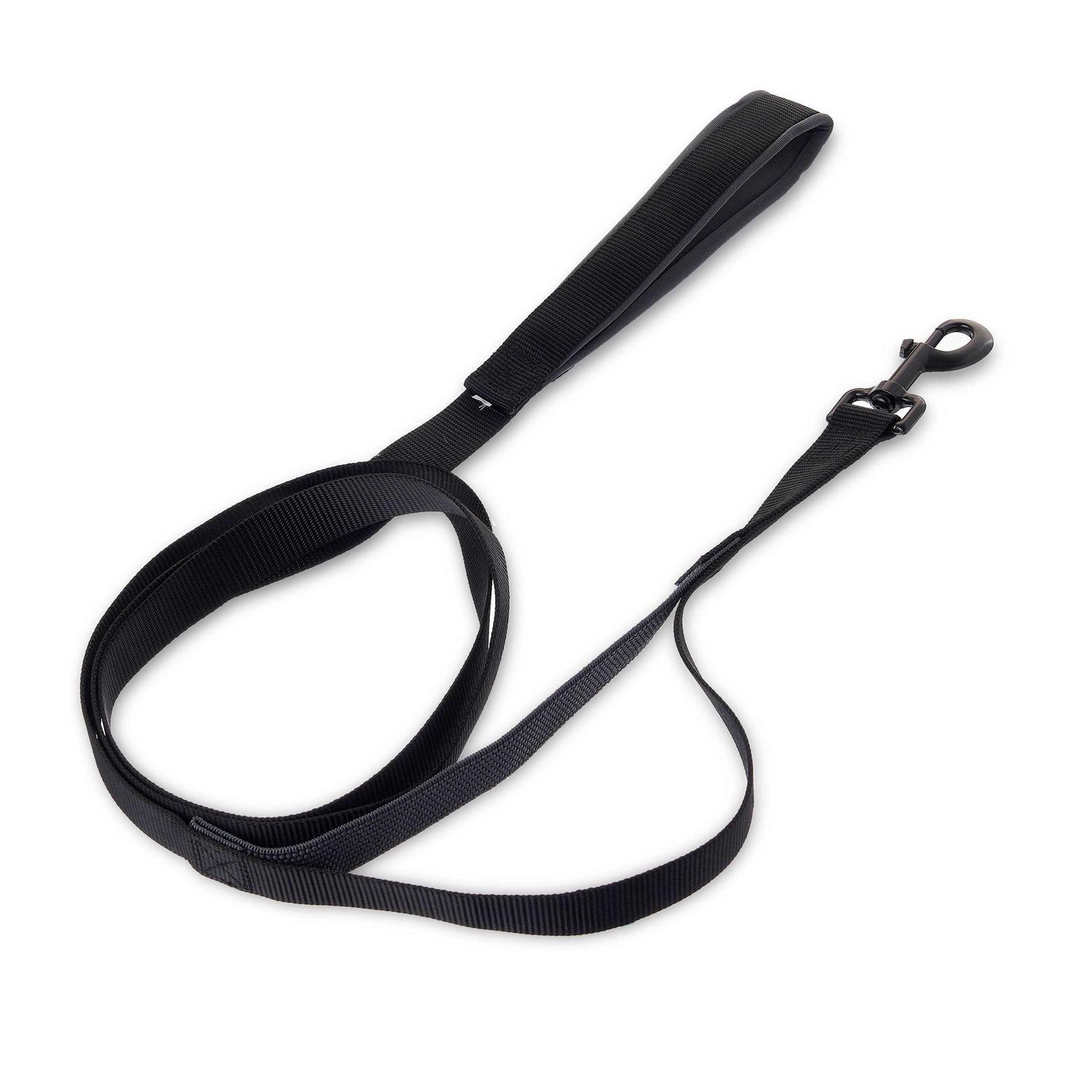 Vibrant Life Anti-Shock Dog Leash