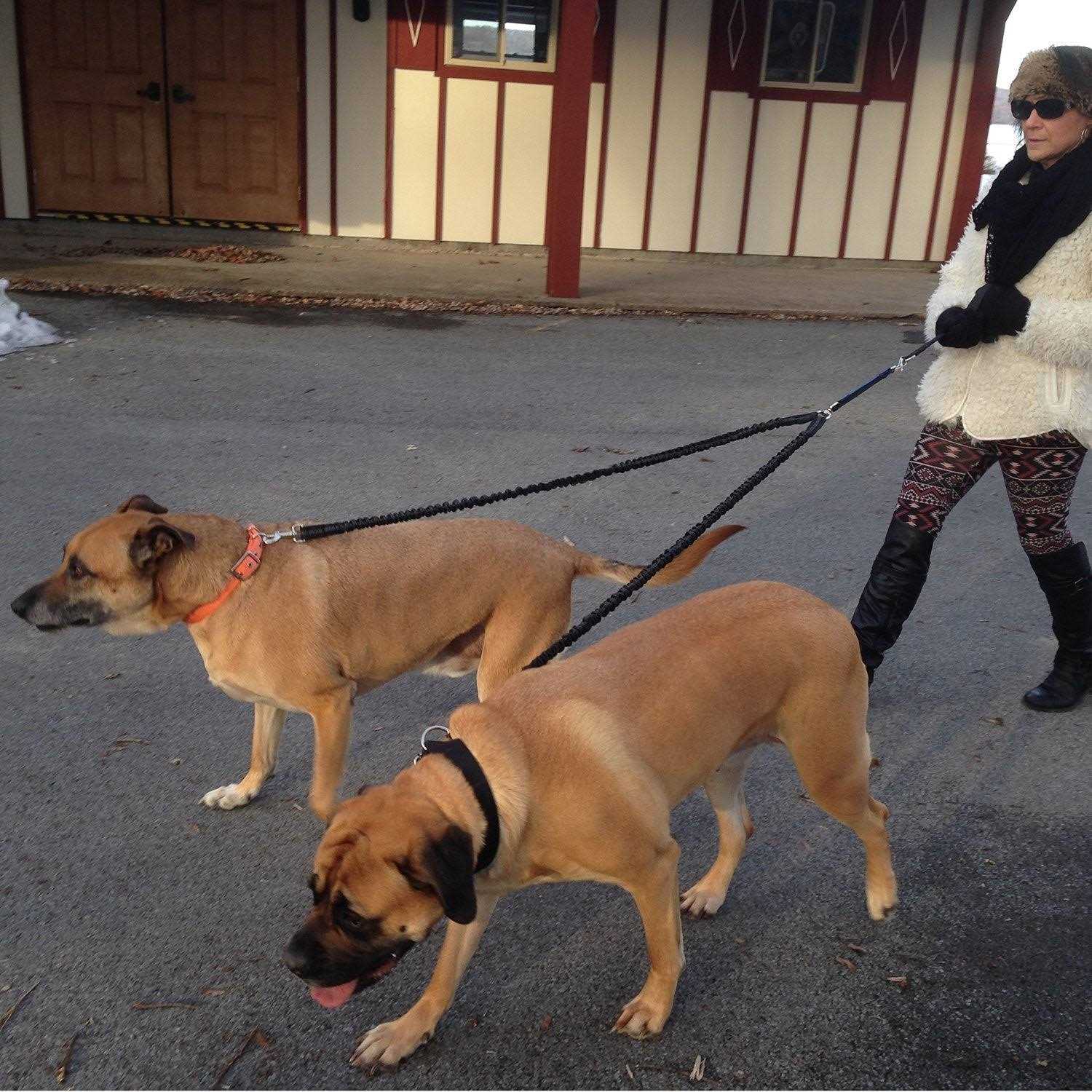 Alternative view of Pet Fit for Life 64 Premium Two Dog Leash Premium Double Leash for Dogs, Provides Control and Comfort