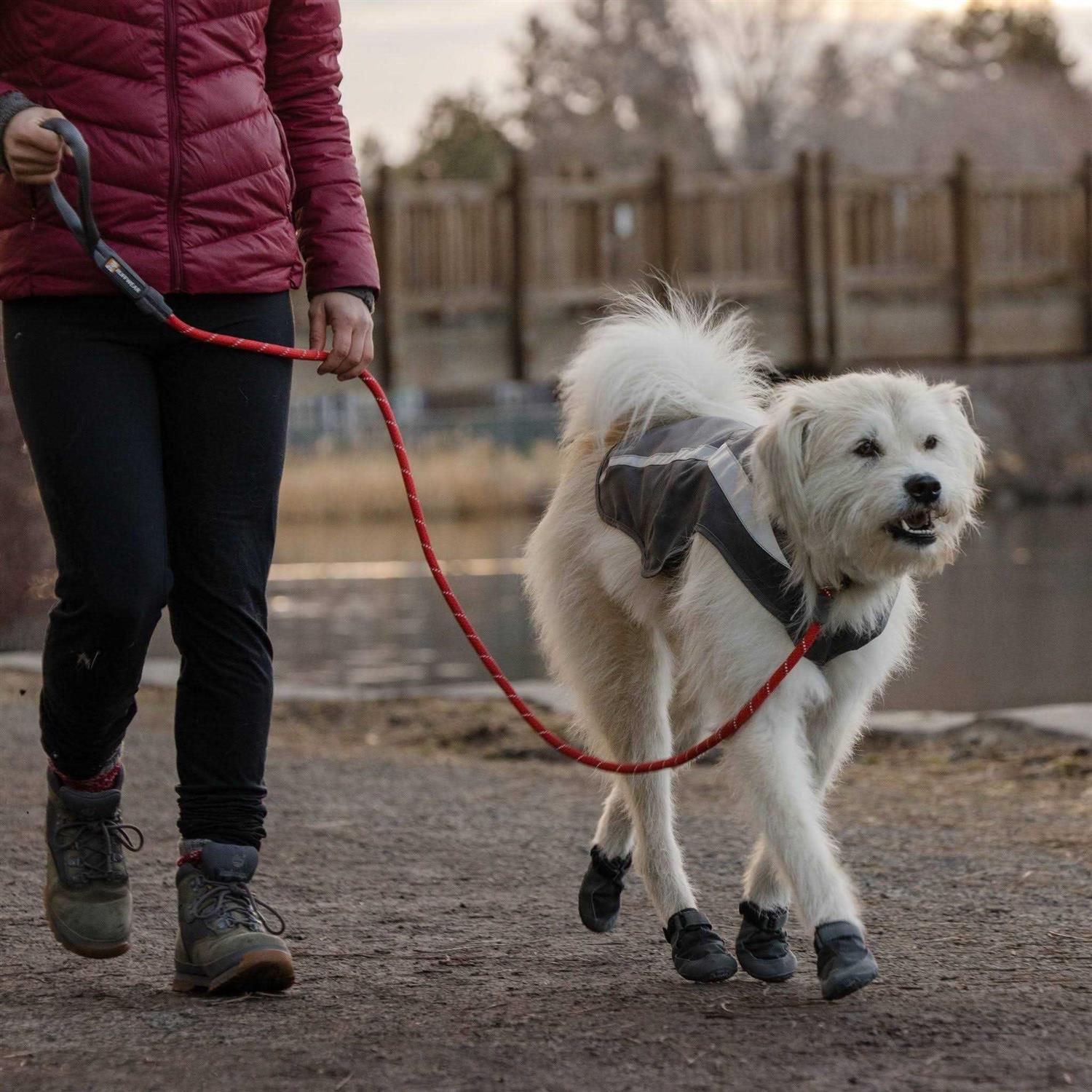 Alternative view of Just-a-Cinch Leash Ruffwear