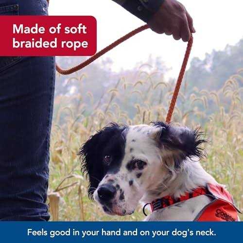 Alternative view of Water & Woods Braided Rope Dog Slip Leash