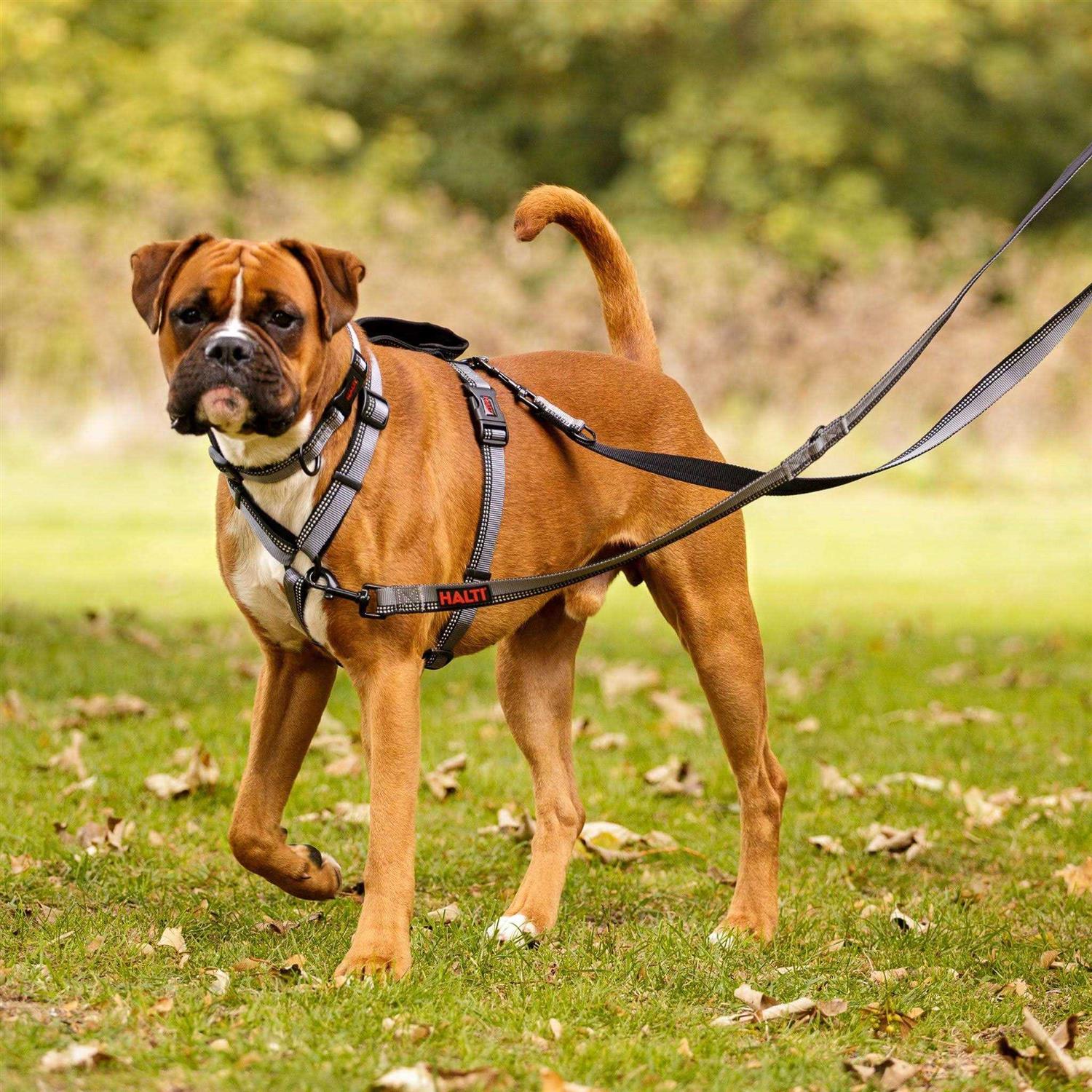 Alternative view of Halti Double Ended Lead Dog Leash