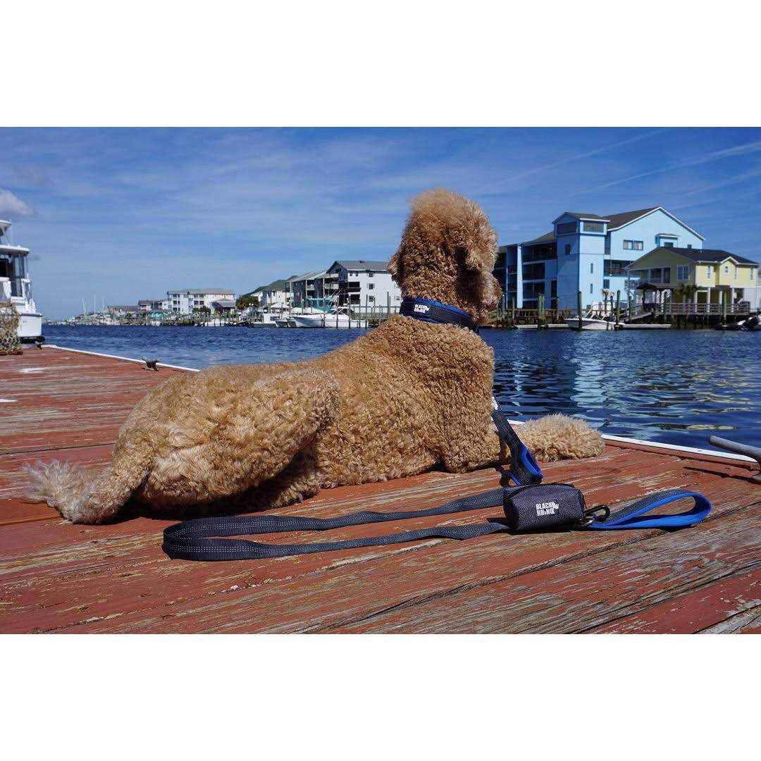 Alternative view of Black Rhino Dog Leash Heavy Duty Medium & Large Dogs Long Leashes