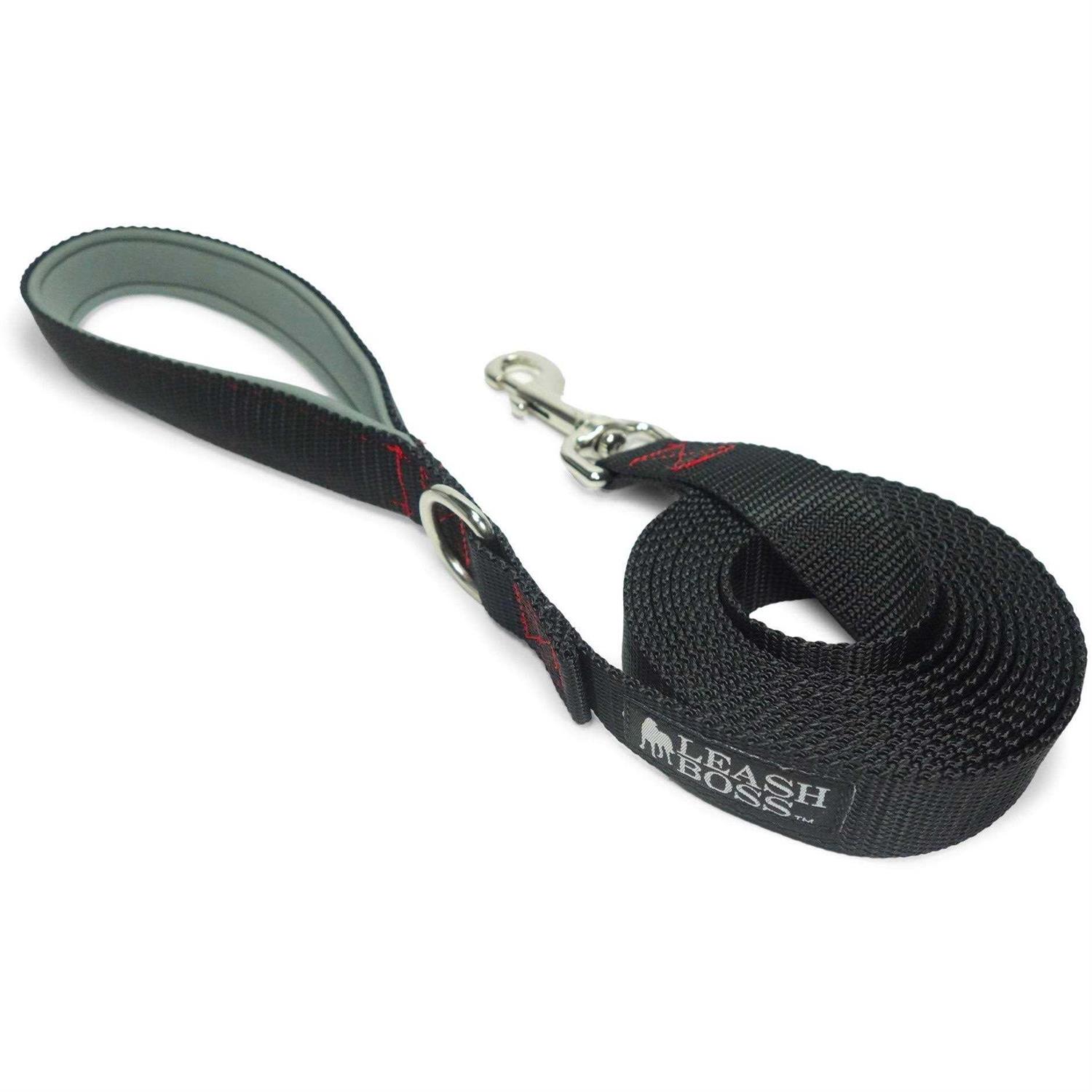 Leashboss 10 Foot Dog Leash with Padded Handle