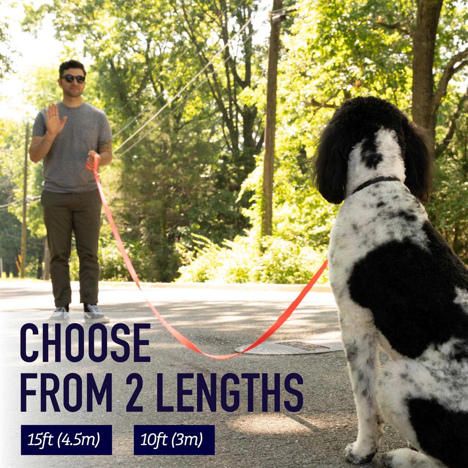 Alternative view of Leashboss 10 Foot Dog Leash with Padded Handle
