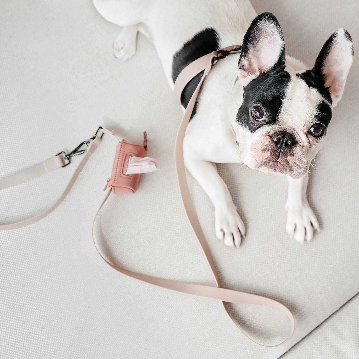 Lambwolf MELLEM narrow Hands Free Long Dog Leash