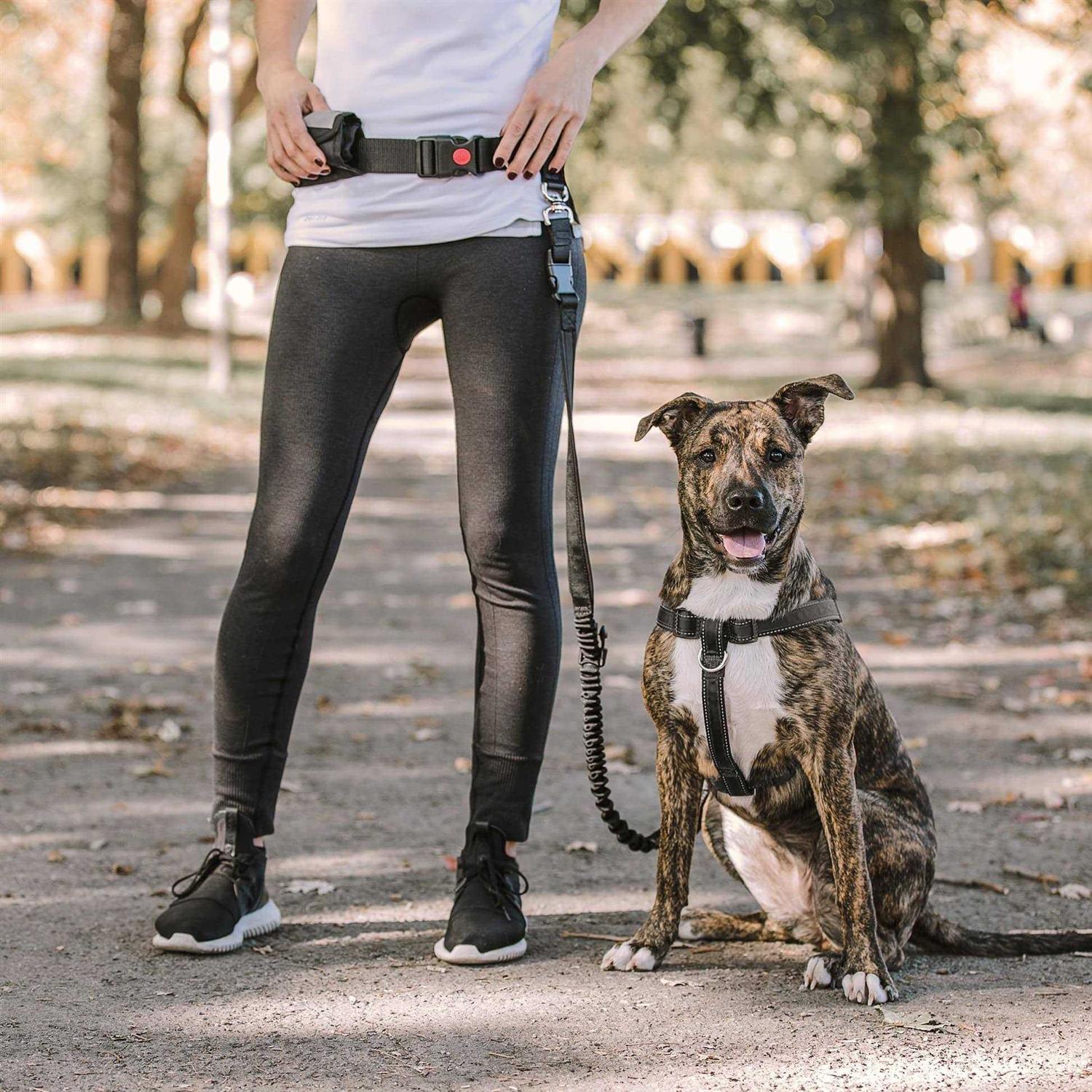Alternative view of GF Pet Waist Belt & Bungee Leash