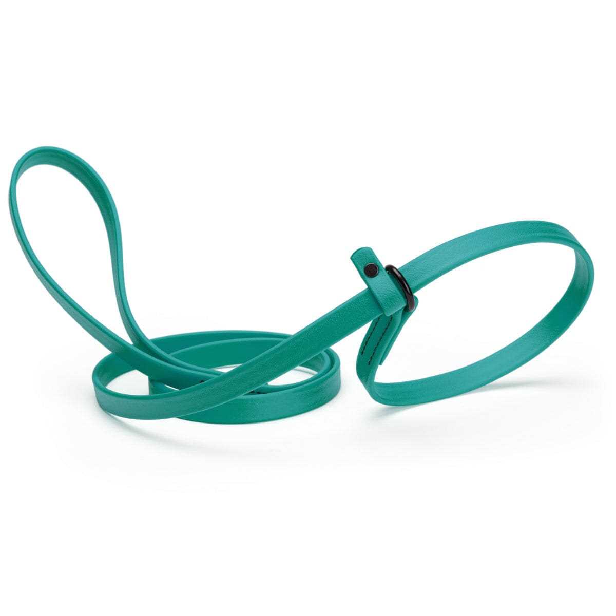 Dogline Biothane Slip Dog Leash for Small, Medium and Large Dogs
