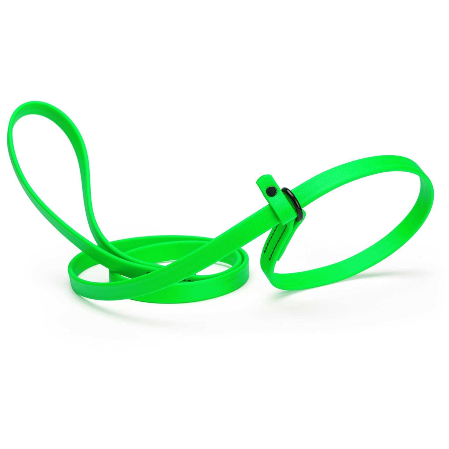 Dogline Biothane Slip Dog Leash for Small, Medium and Large Dogs