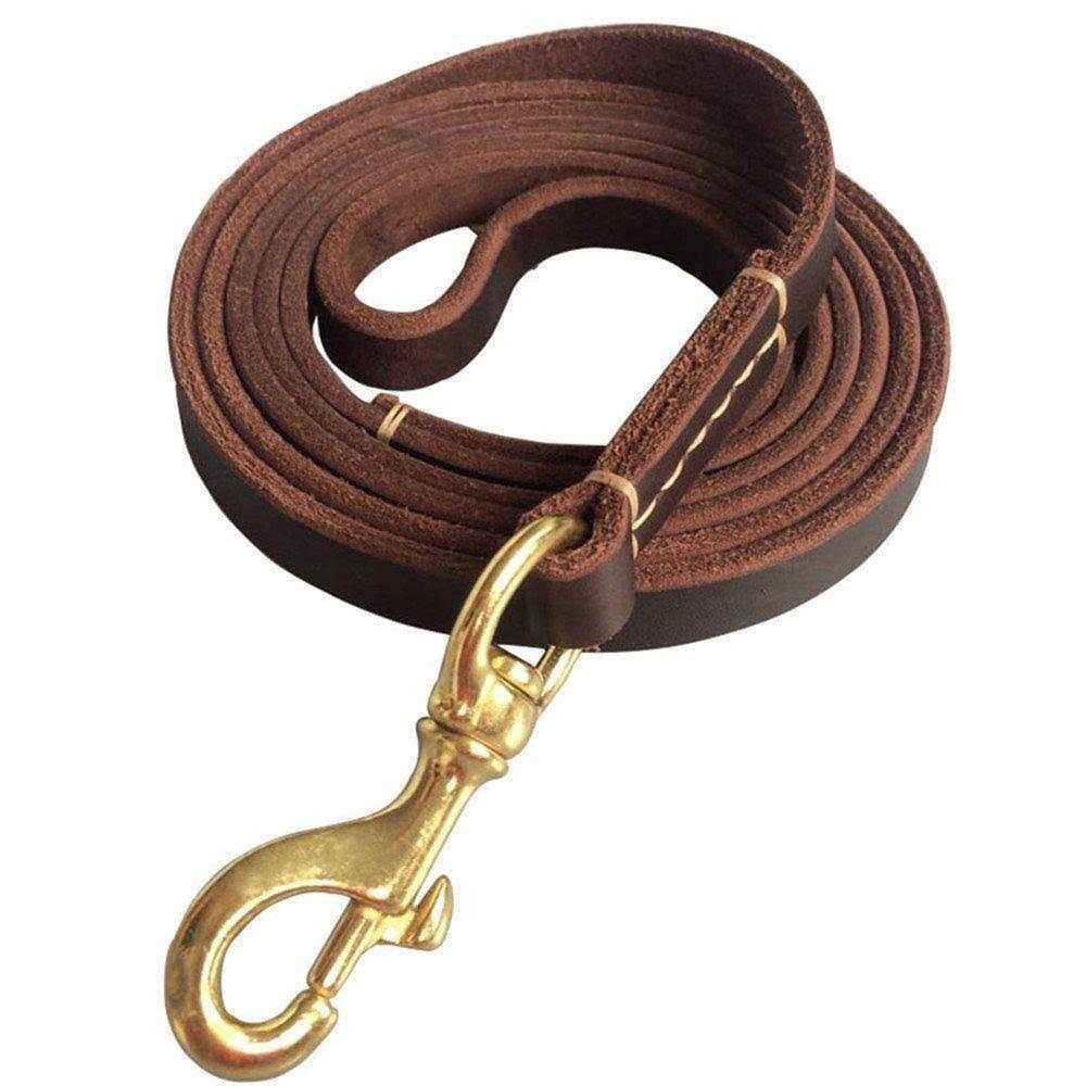 FAIRWIN Leather Dog Leash 6 Foot Braided Heavy Duty Training Leash for Large Medium Small Dogs