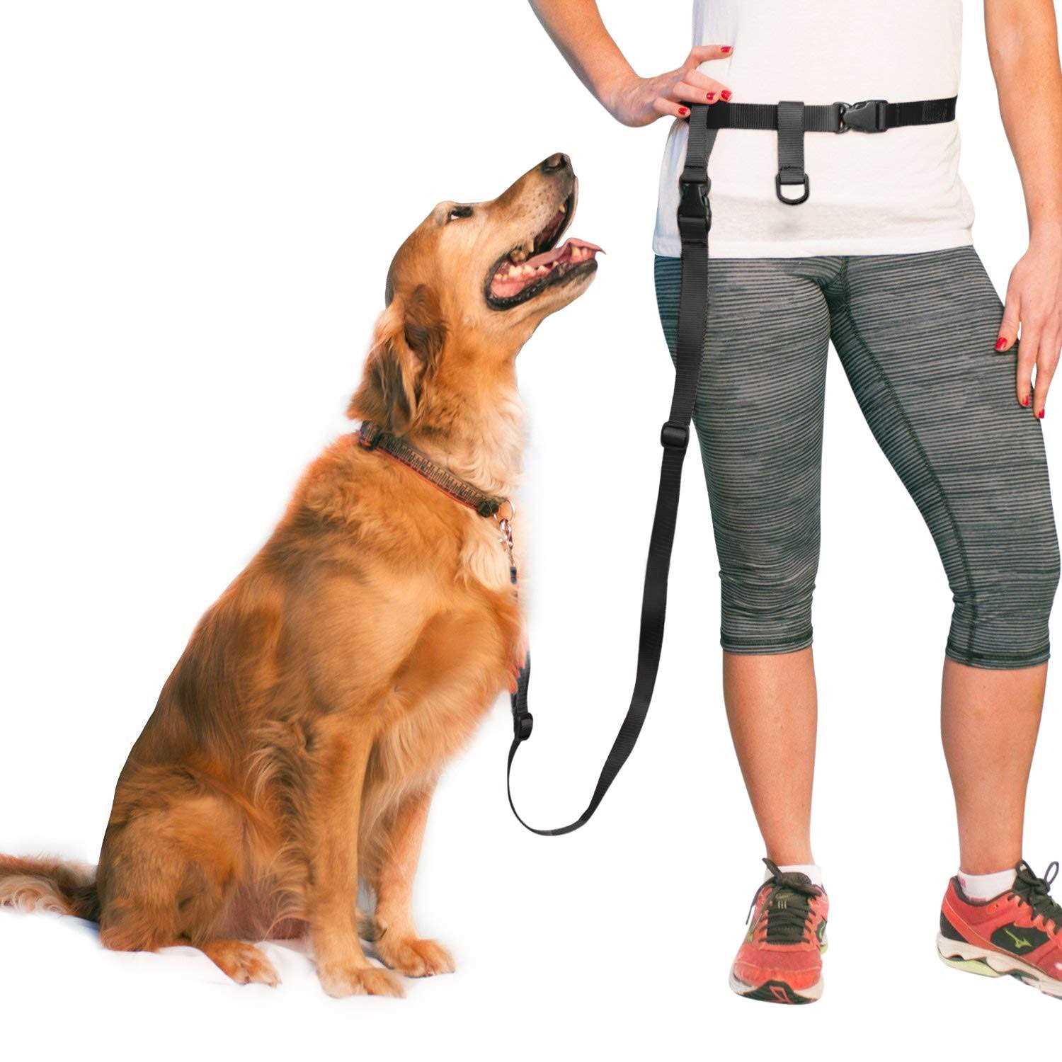 The Buddy System Adjustable Hands Free Dog Leash, Hand-Free Leash for Running, Jogging, Walking, Hiking and Training Service