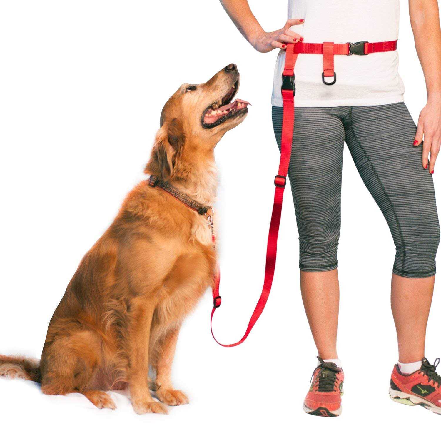 The Buddy System Adjustable Hands Free Dog Leash, Hand-Free Leash for Running, Jogging, Walking, Hiking and Training Service