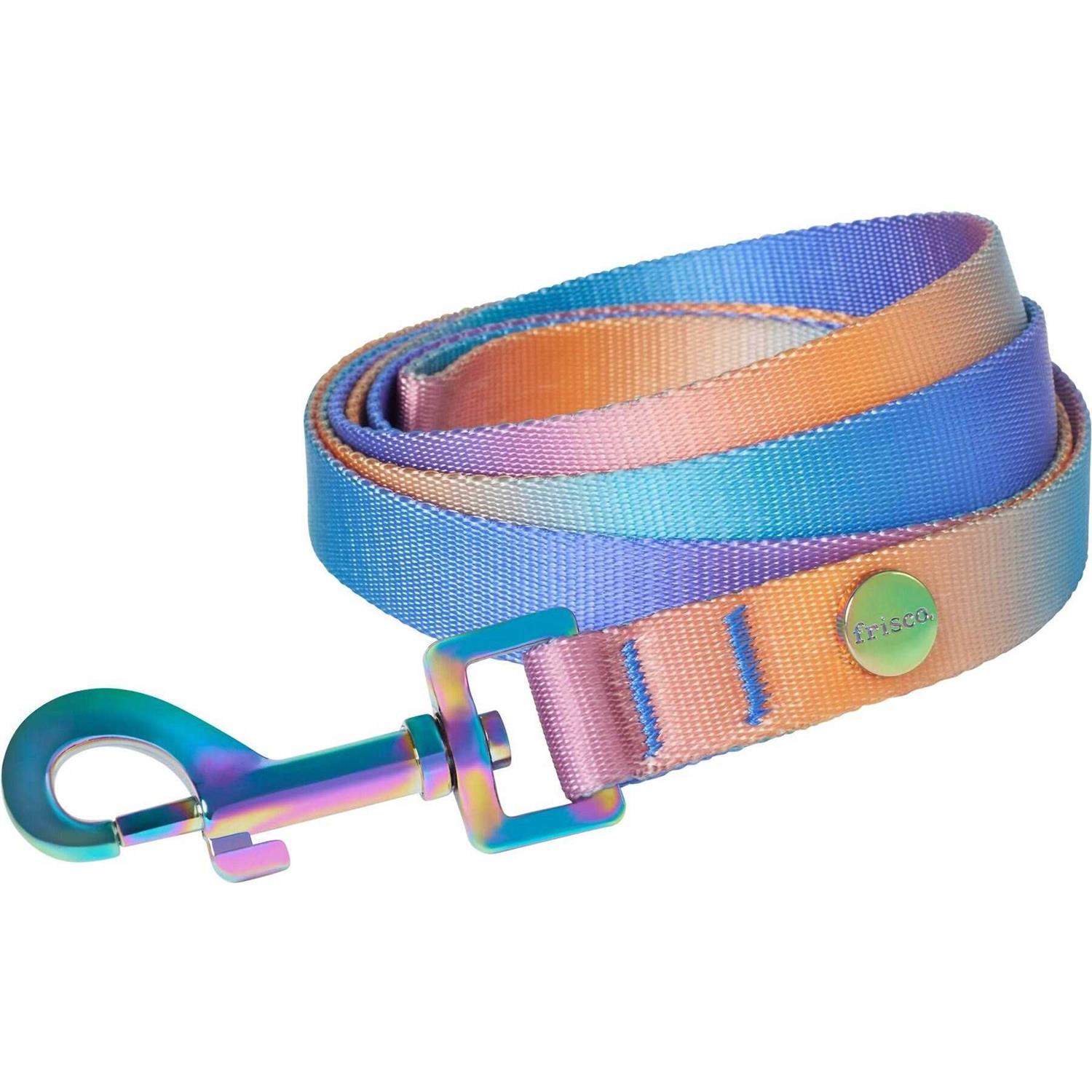 Frisco Ombre Style Dog Leash