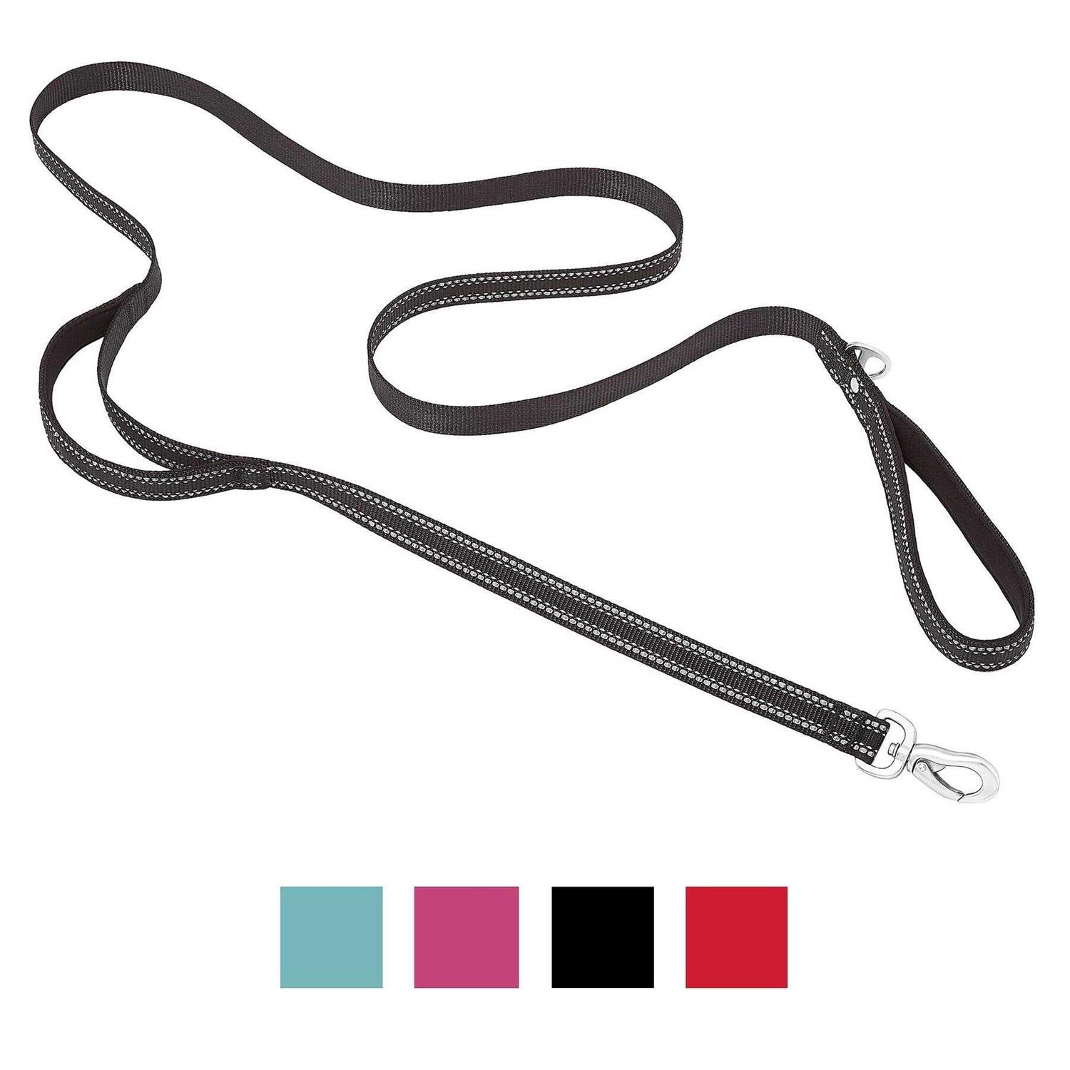 Frisco Outdoor Nylon Reflective Comfort Padded Dog Leash