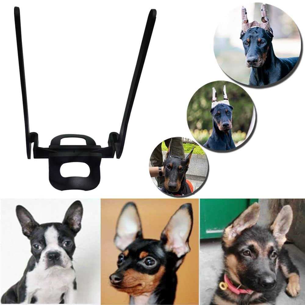 Alternative view of Dandelion Dog Ear Posting Kit Dog Ear Stand Up Support