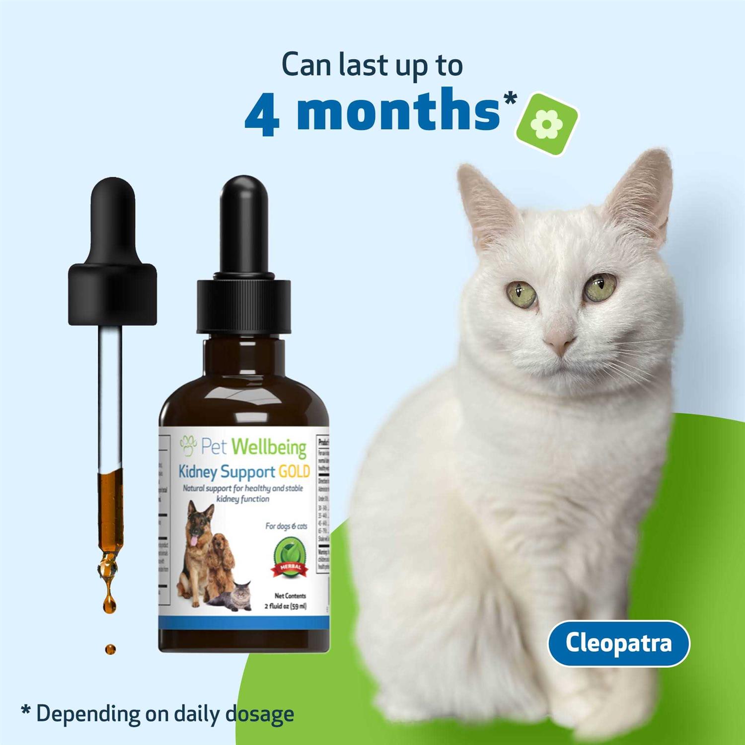 Alternative view of Pet Wellbeing Kidney Support Gold for Dogs