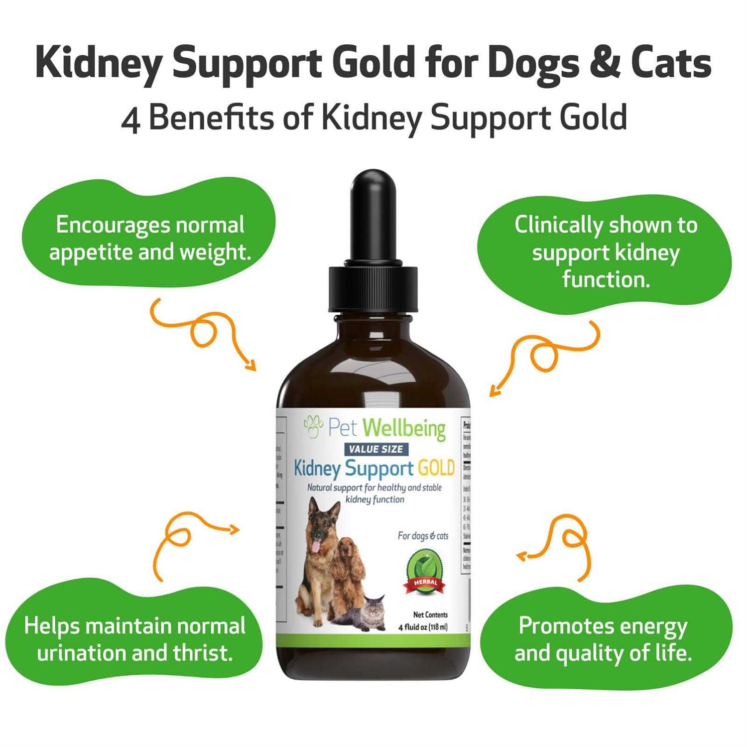 Alternative view of Pet Wellbeing Kidney Support Gold for Dogs