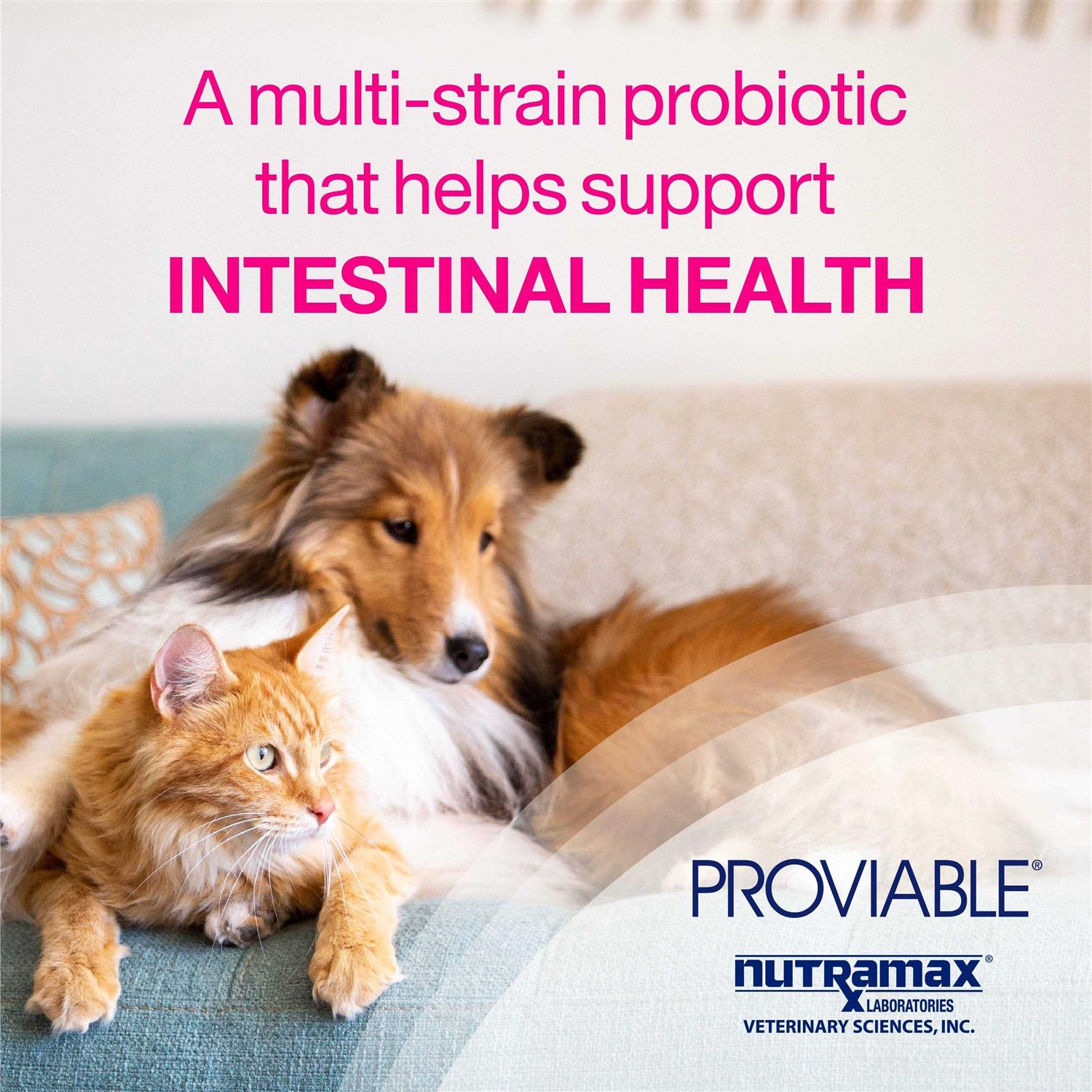 Alternative view of Proviable Health Supplement Kit Dogs