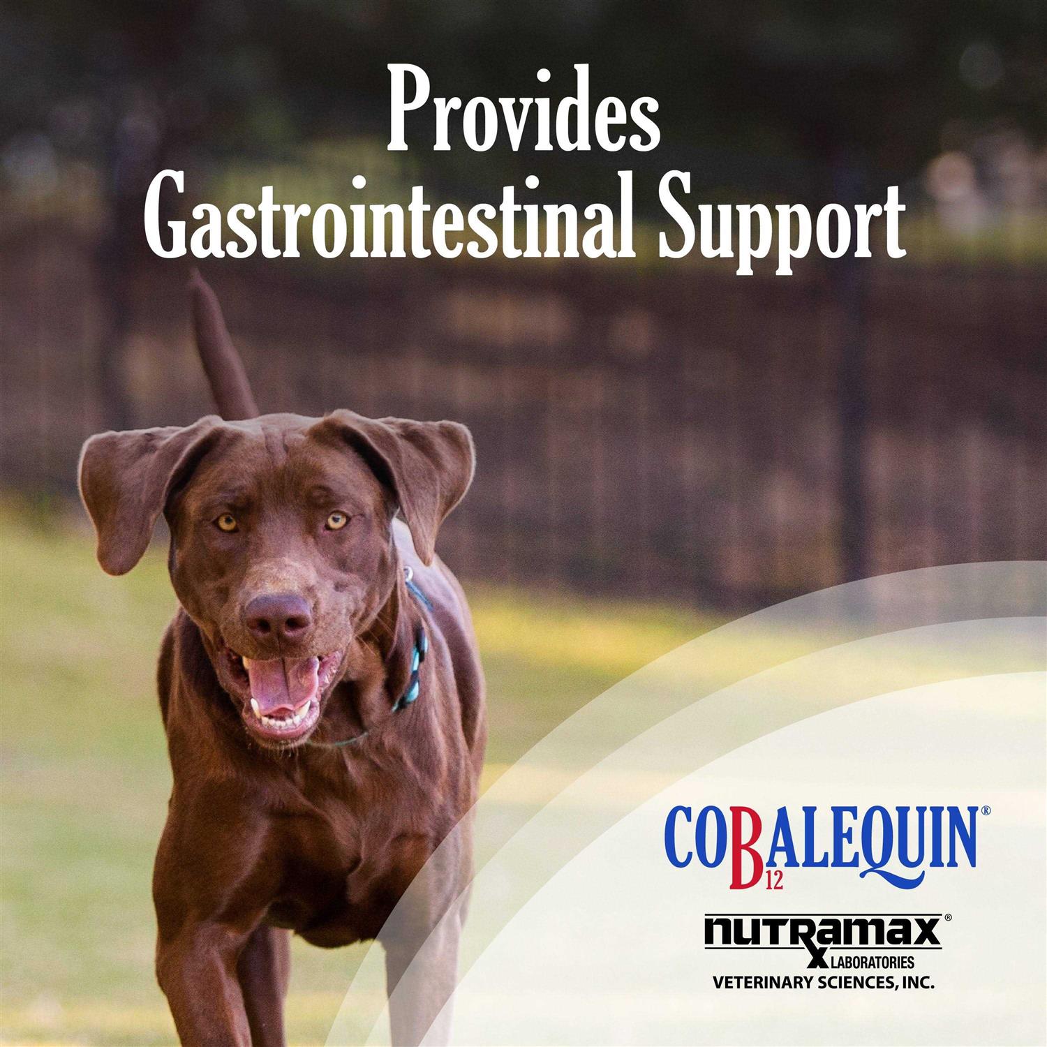 Alternative view of Nutramax Cobalequin B12 Supplement Dogs