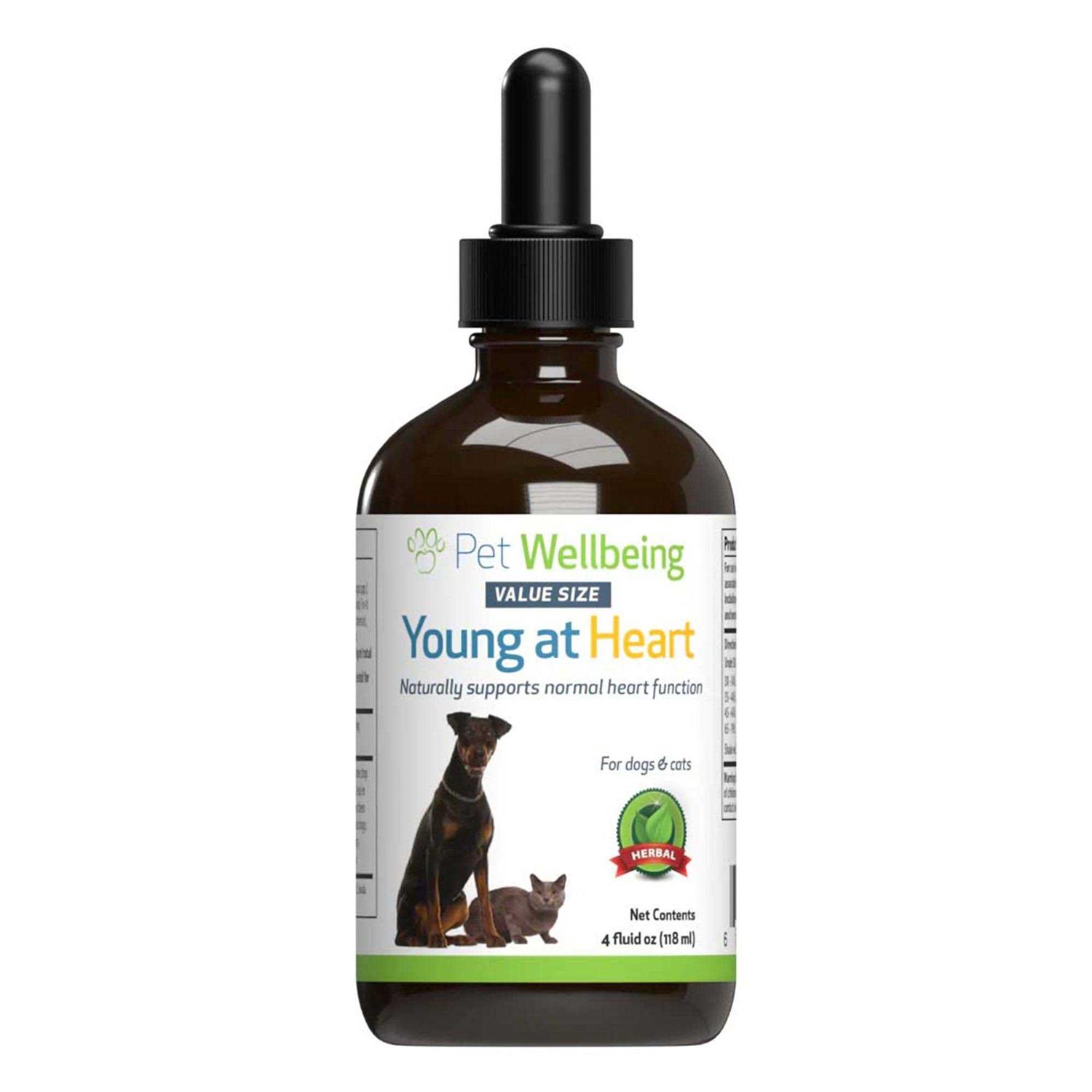 Pet Wellbeing Young at Heart for Cats