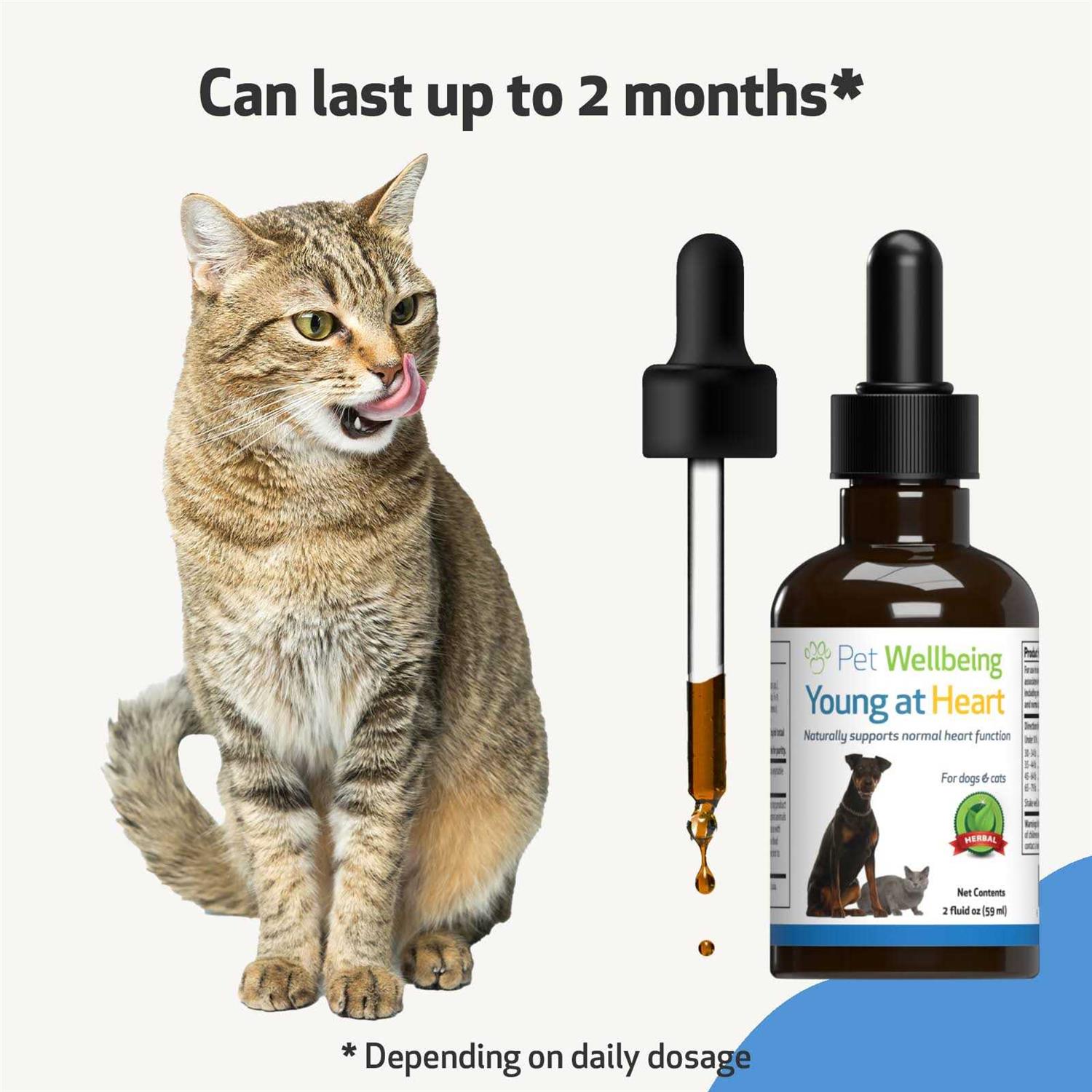 Alternative view of Pet Wellbeing Young at Heart for Cats
