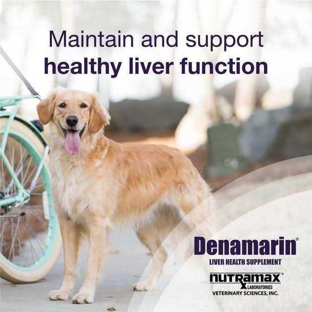 Alternative view of Nutramax Denamarin for Liver Health Tablets for Large Dogs