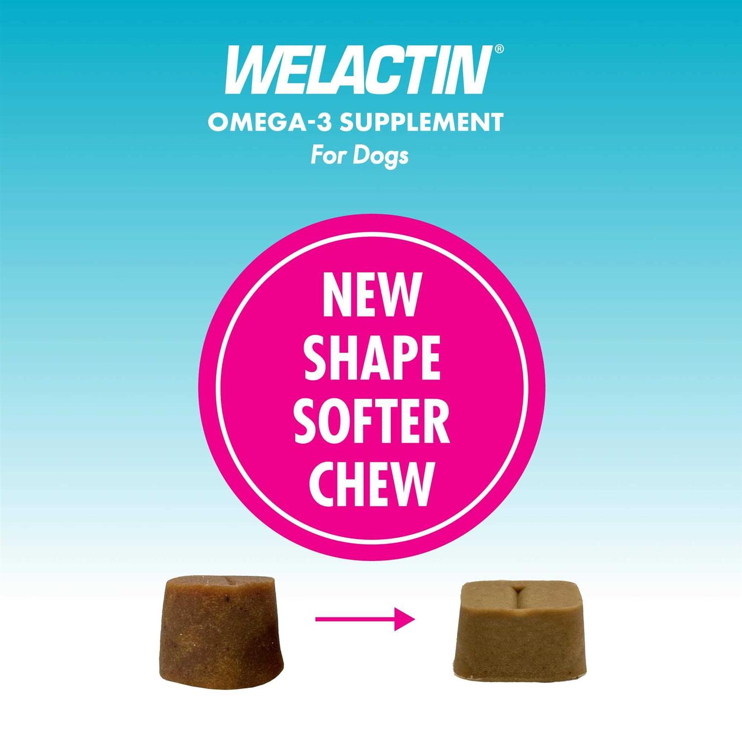 Alternative view of Nutramax Welactin Omega-3 Supplement Soft Chews For Dogs