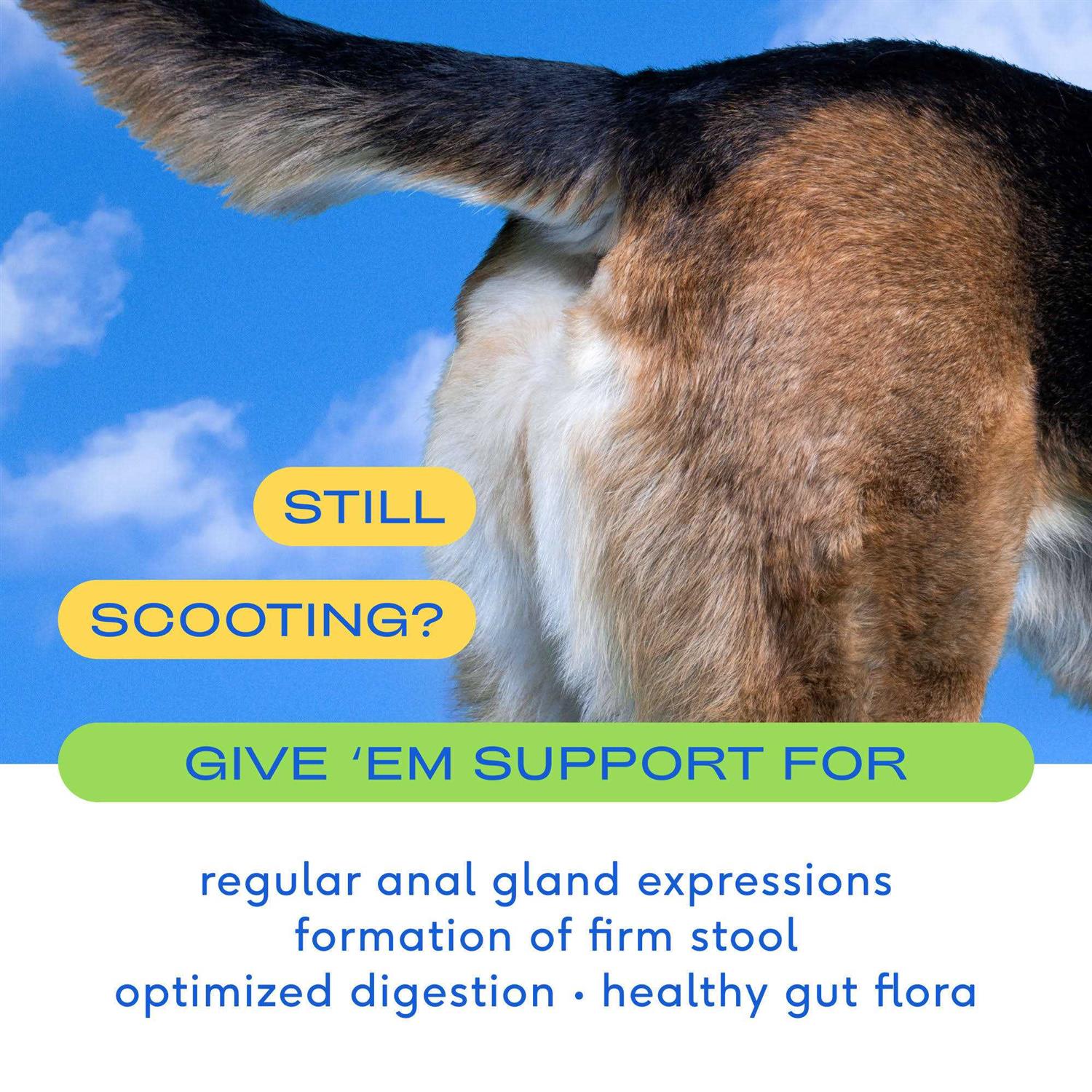 Alternative view of Native Pet GlandAid Anal Gland Supplement for Dogs