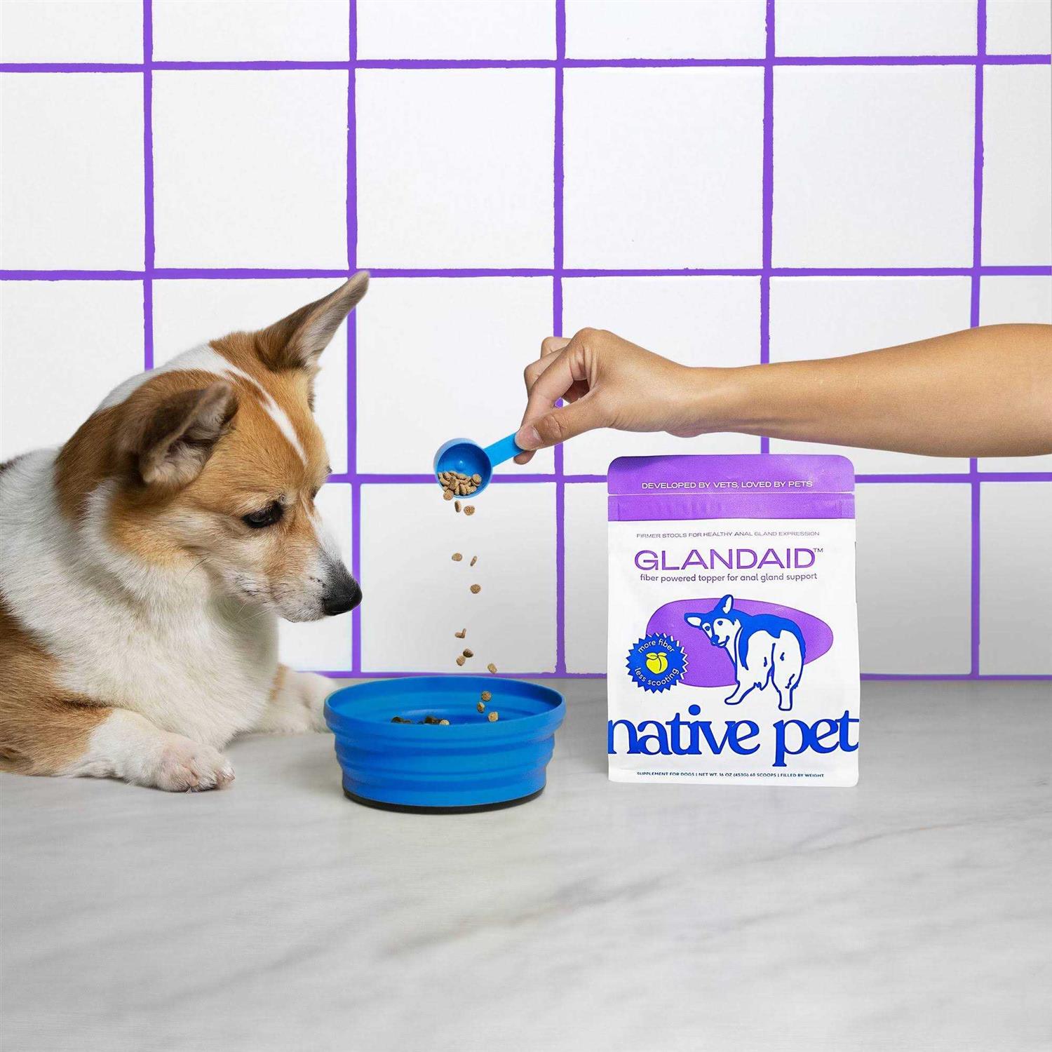 Alternative view of Native Pet GlandAid Anal Gland Supplement for Dogs