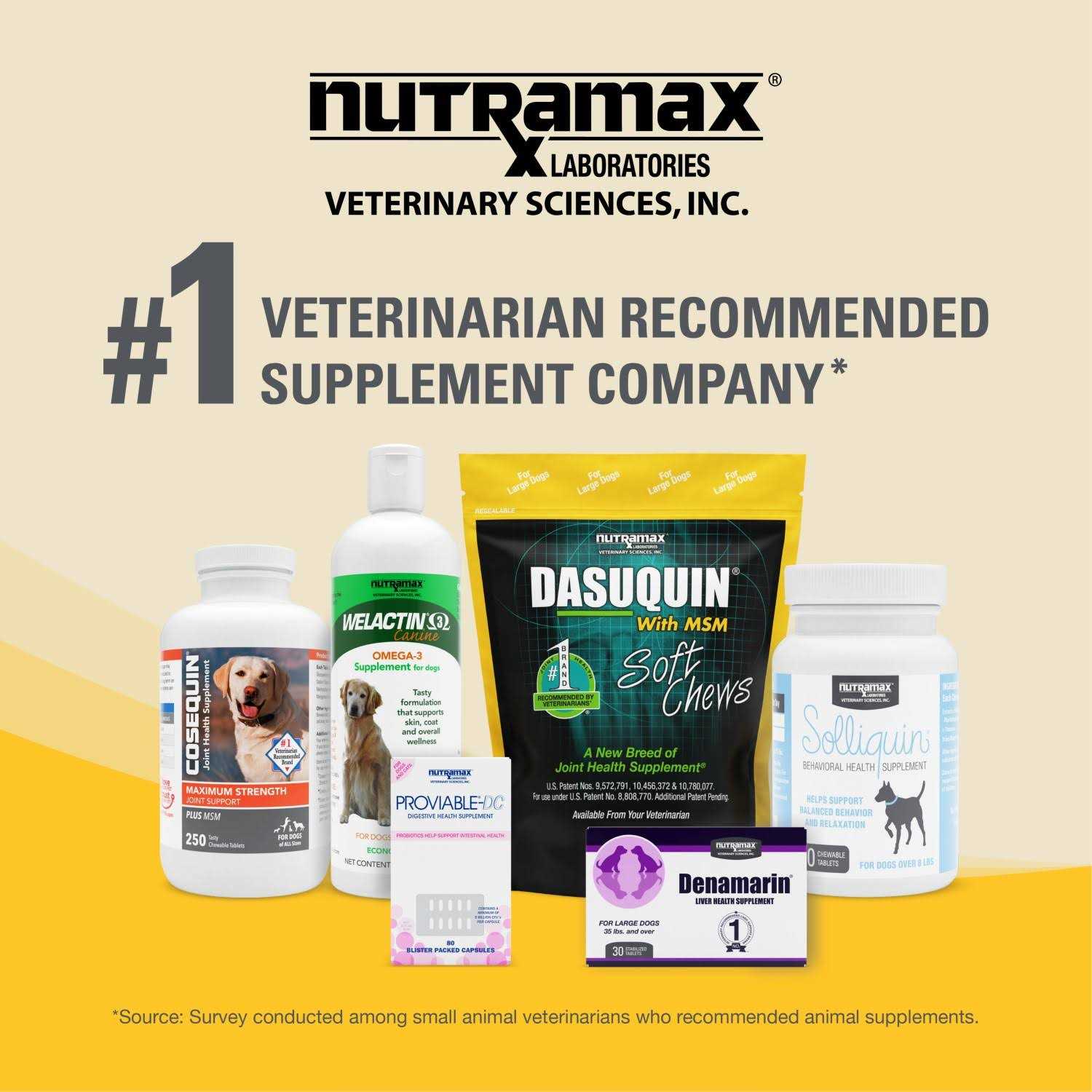 Alternative view of Nutramax Dasuquin with MSM Joint Health Supplement for Large Dogs