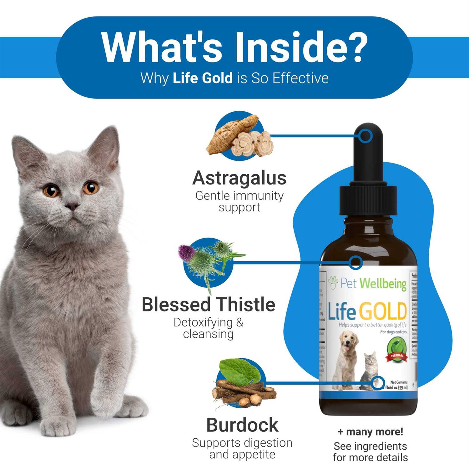 Alternative view of Pet Wellbeing Life Gold for Dogs