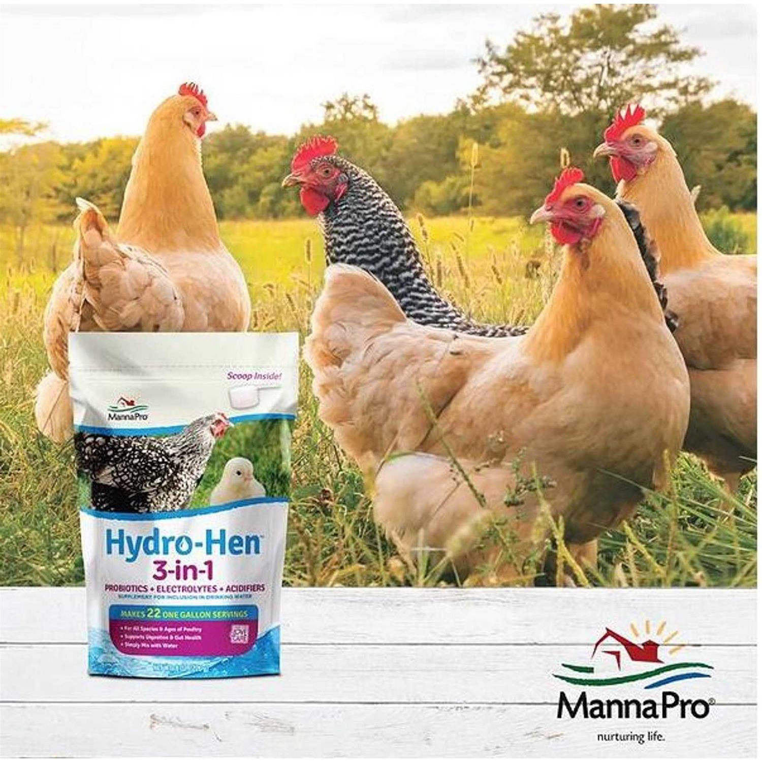 Alternative view of Manna Pro Hydro-Hen 3-in-1 Supplement