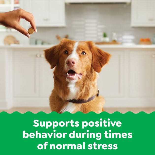 Alternative view of Greenies Supplements Calming Chews for Dogs Chicken Flavor