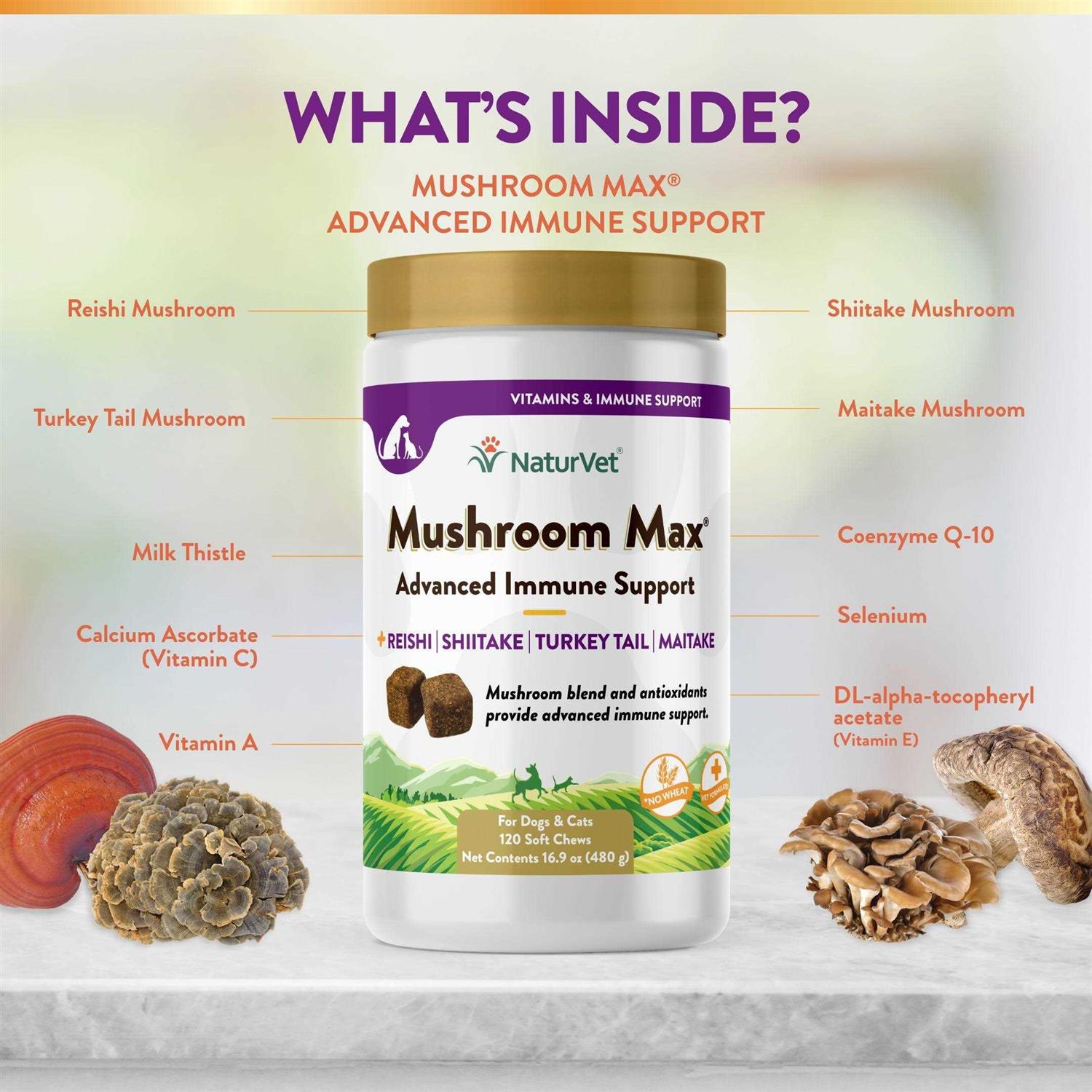 Alternative view of NaturVet Mushroom Max Advanced Immune Support Soft Chews
