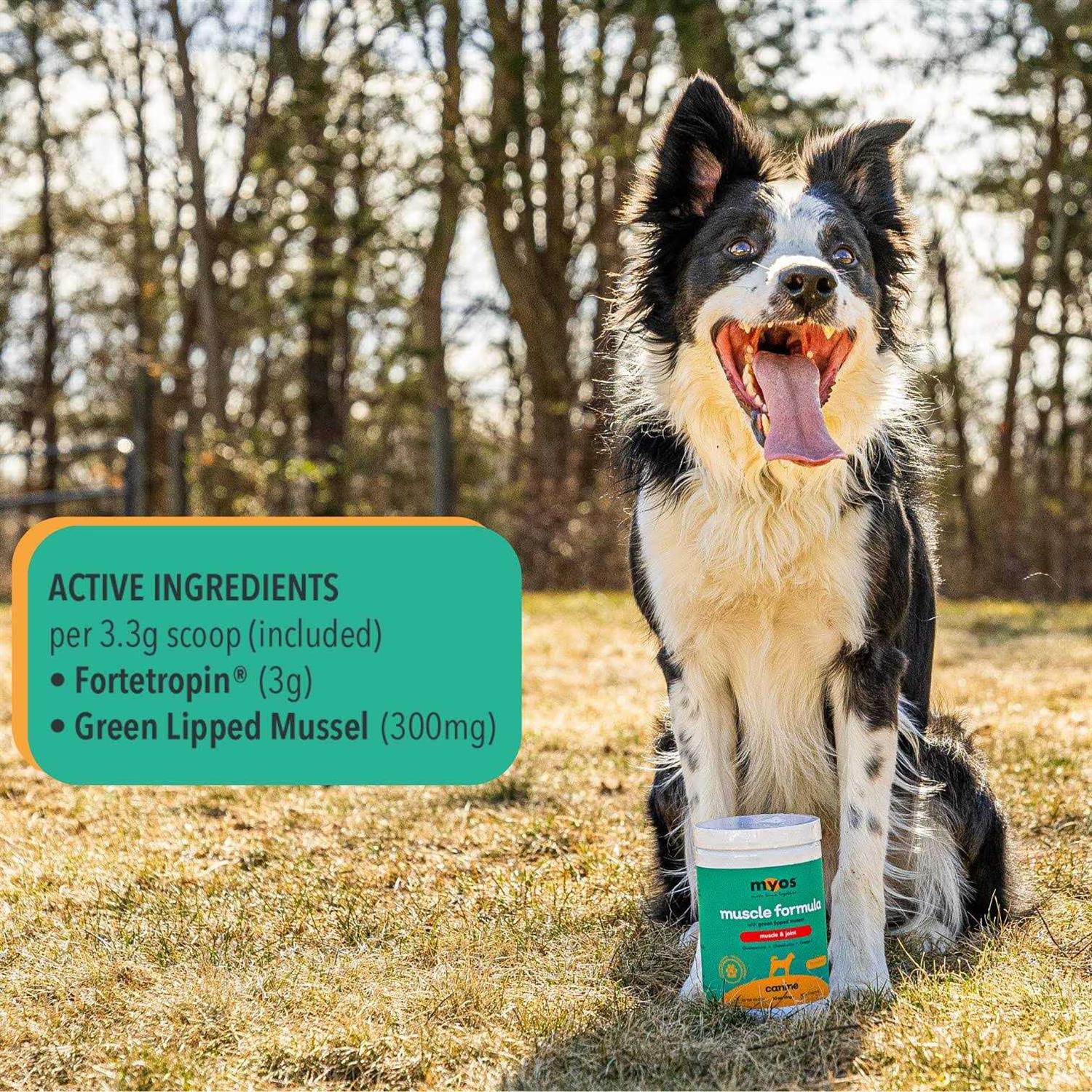 Alternative view of MYOS Canine Muscle & Joint Formula with Green Lipped Mussel Powder Dog Supplement