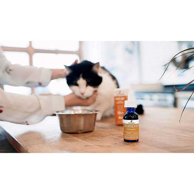 Alternative view of Hemp Oil for Dogs by Innovet Pet