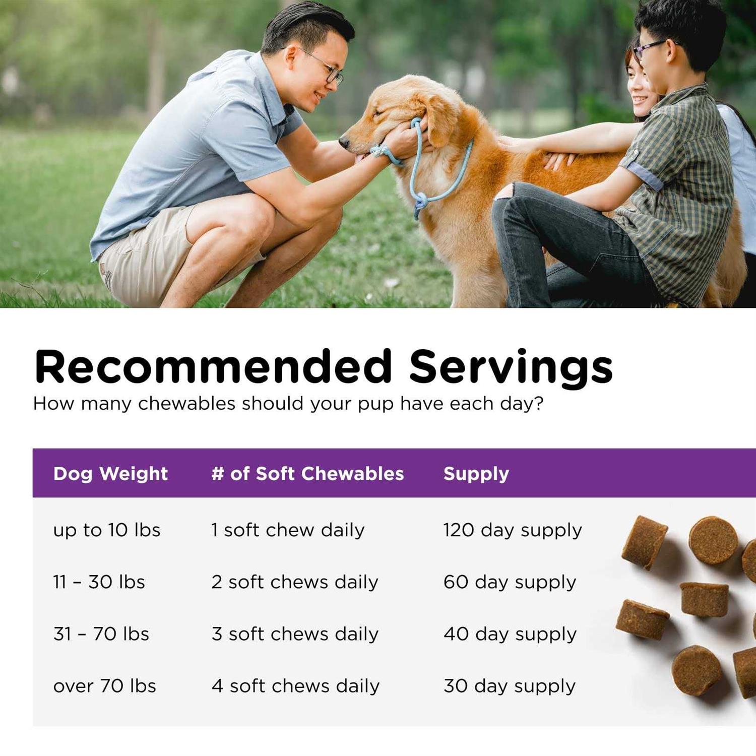 Alternative view of Nutri-Vet Pre and Probiotic Soft Chews for Dogs