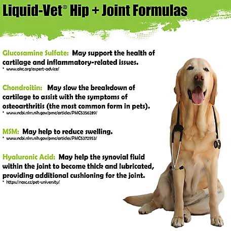 Alternative view of Liquid Vet Joint Care Pot Roast Flavor LVDJSPR04PK32U